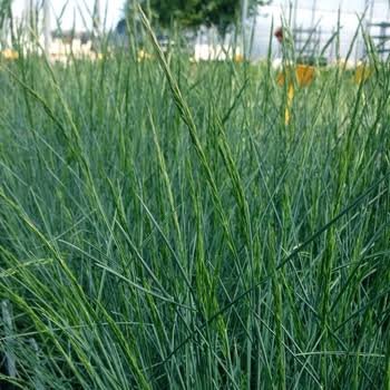 Nursery Open Hours
