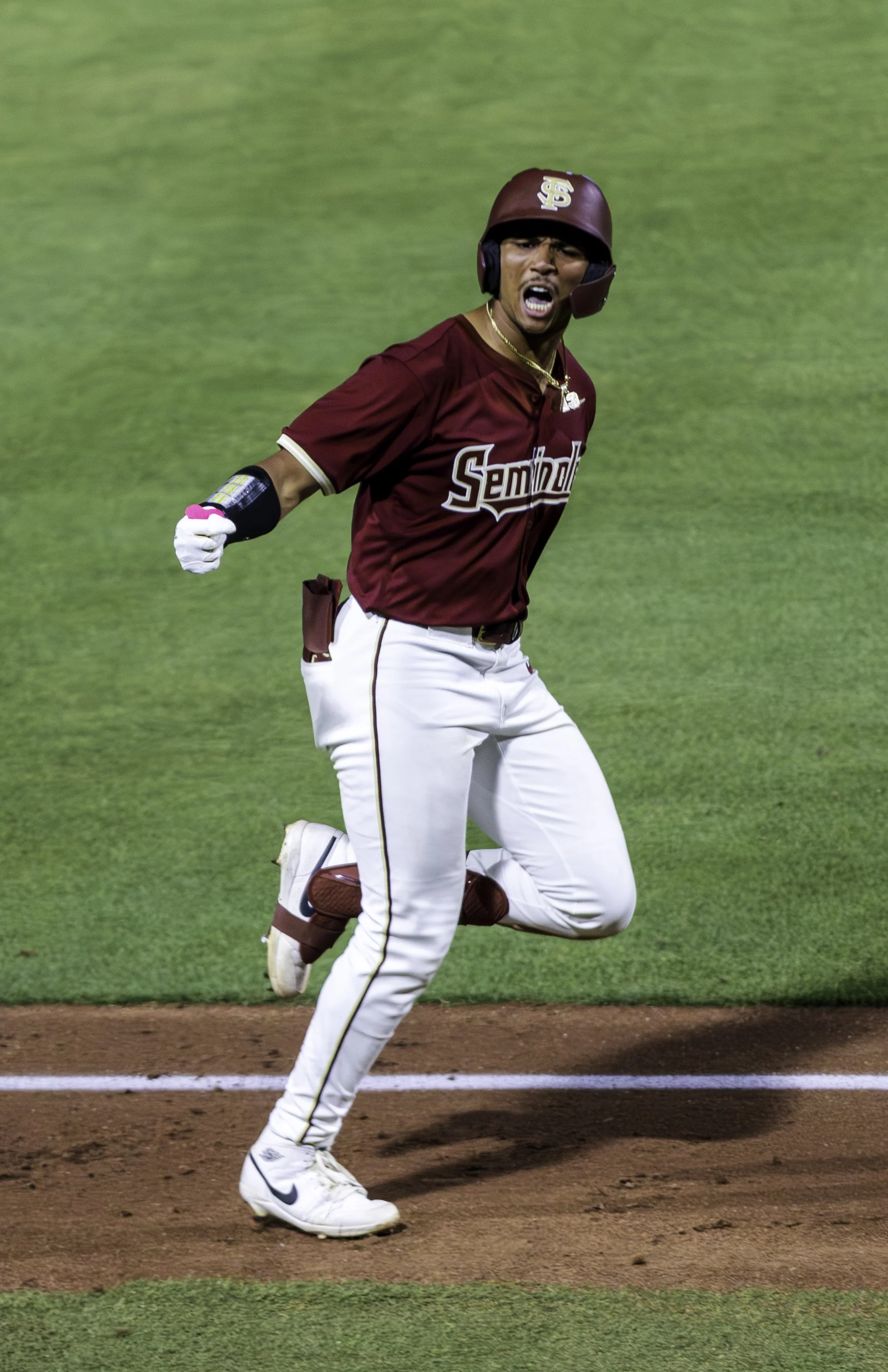 Sheffield Homer.jpg