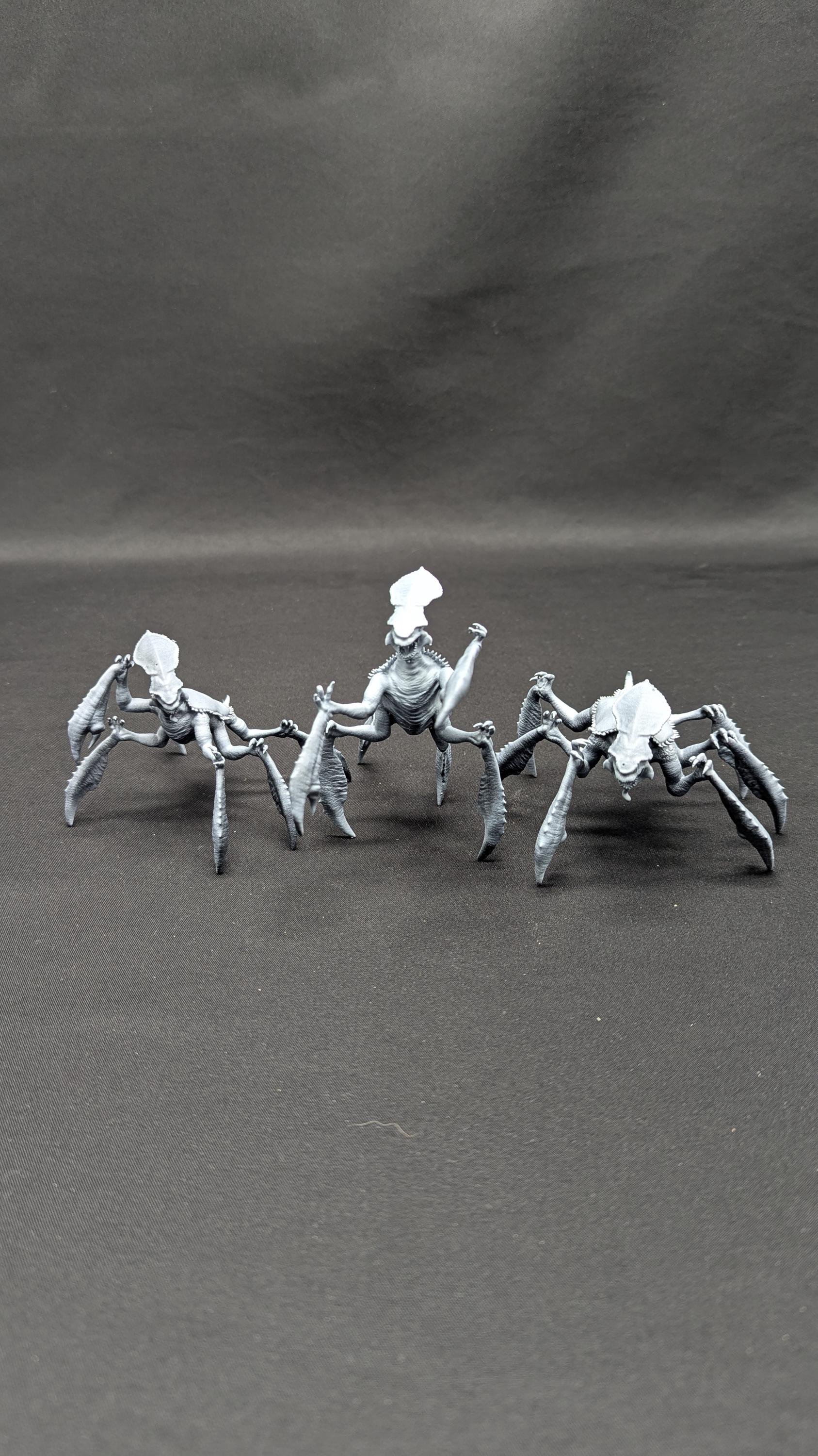 https://i.etsystatic.com/40785304/r/il/cfd40c/6684257870/il_fullxfull.6684257870_43nx.jpg