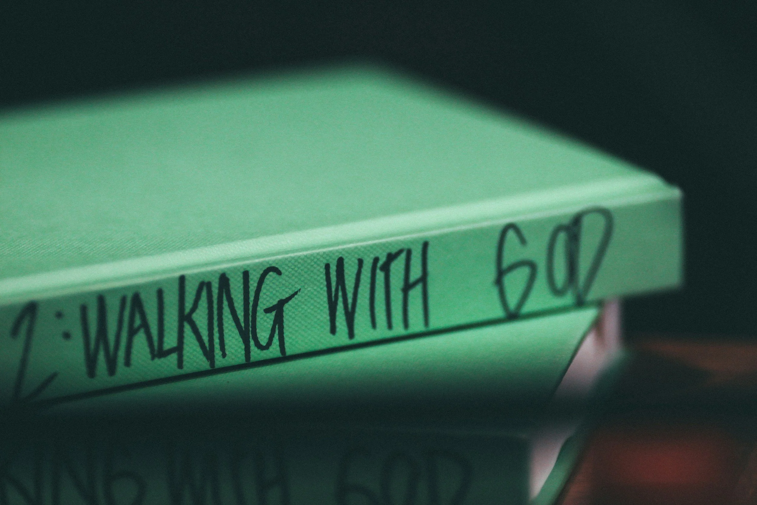 Close-up of a green box with handwritten black text that says 'WALKING WITH GUN'.