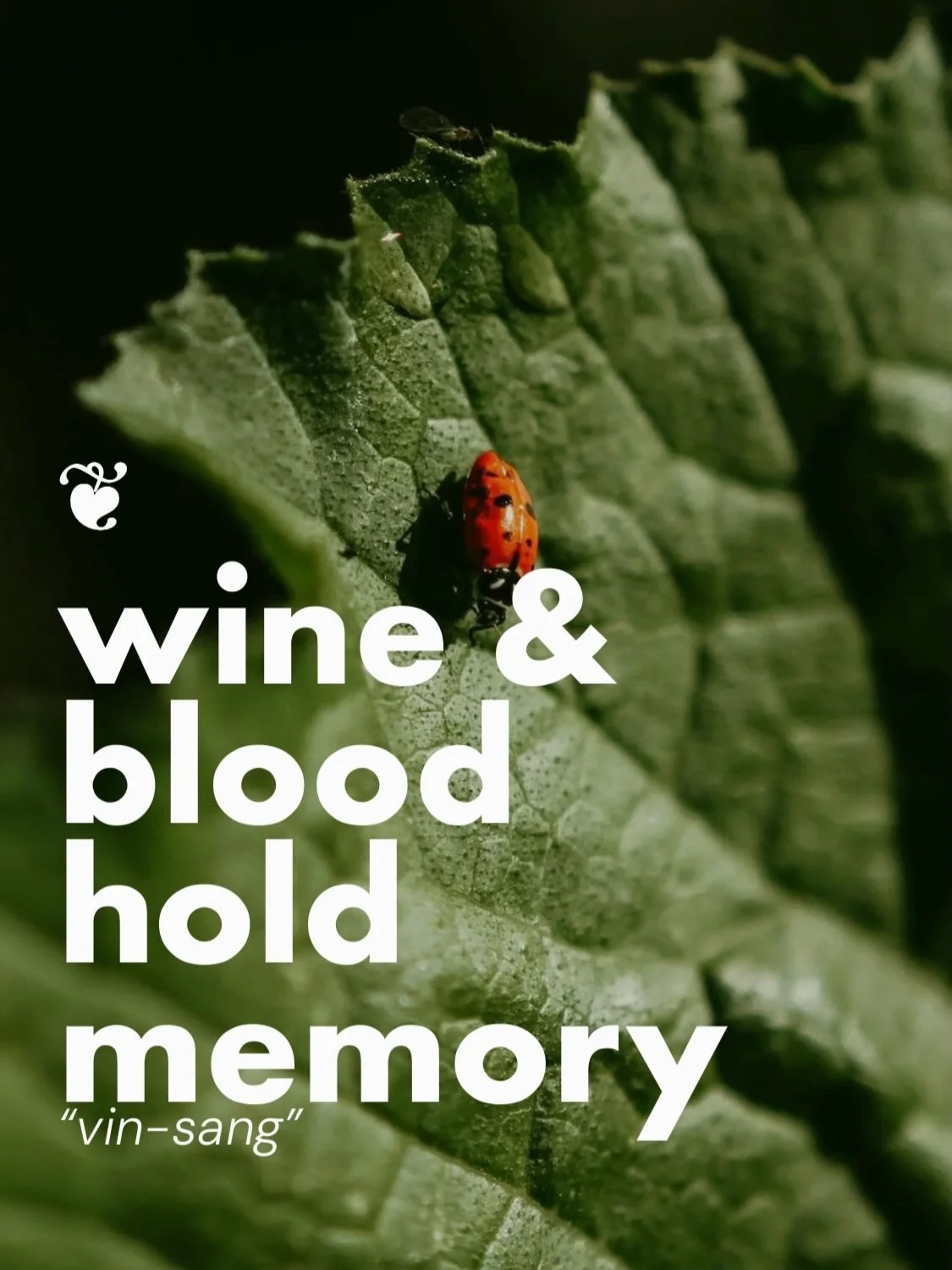 Wine can guide us back to the heart, and back into our power if we create the right container for it. Redefining conscious consumption of wine through musical and culinary experiences&hellip; Let&rsquo;s bring wine back to her roots in sacred ceremon