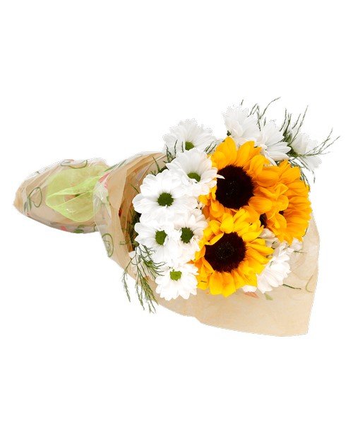 Daisy & Sunflower