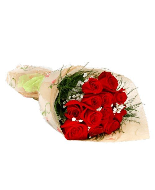 Red Roses.jpg
