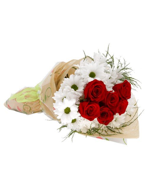 Daisy & Red Rose