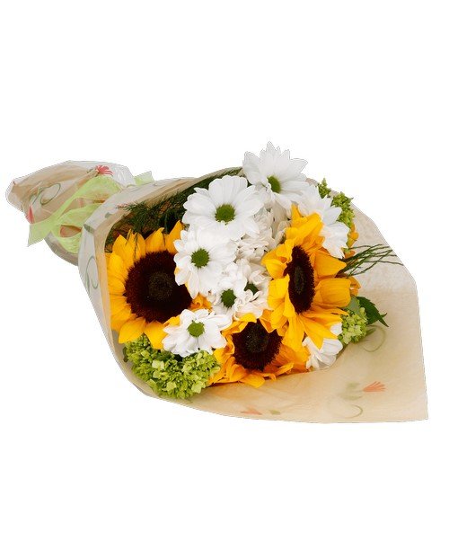 Sunflowers & Daisy