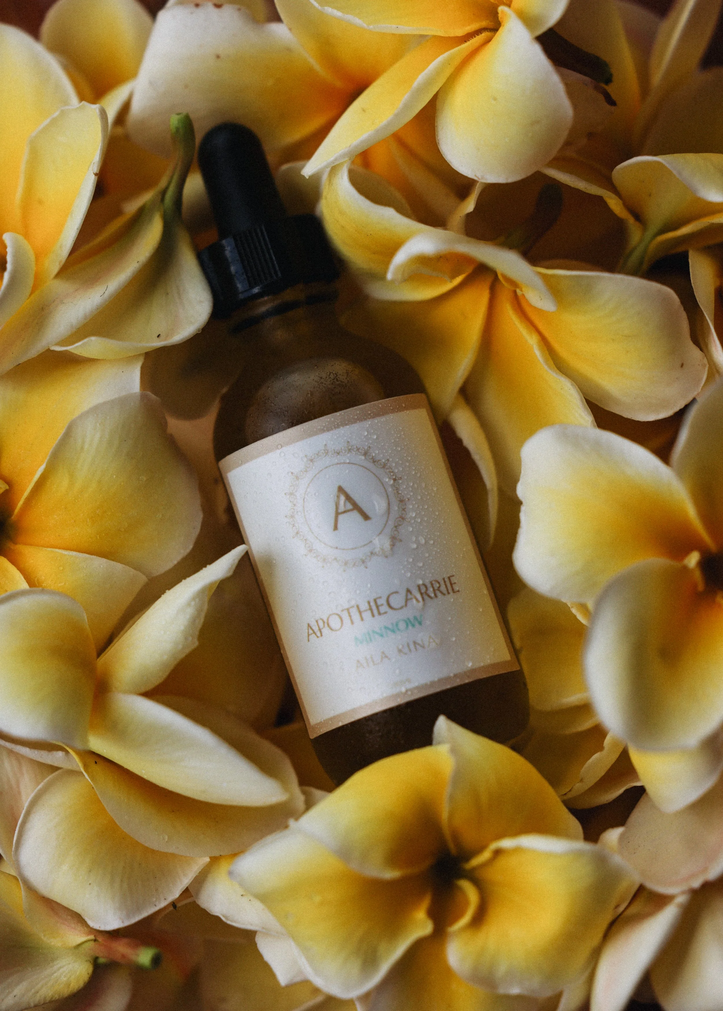 brooklynhawaii-1377.jpeg (Copy)