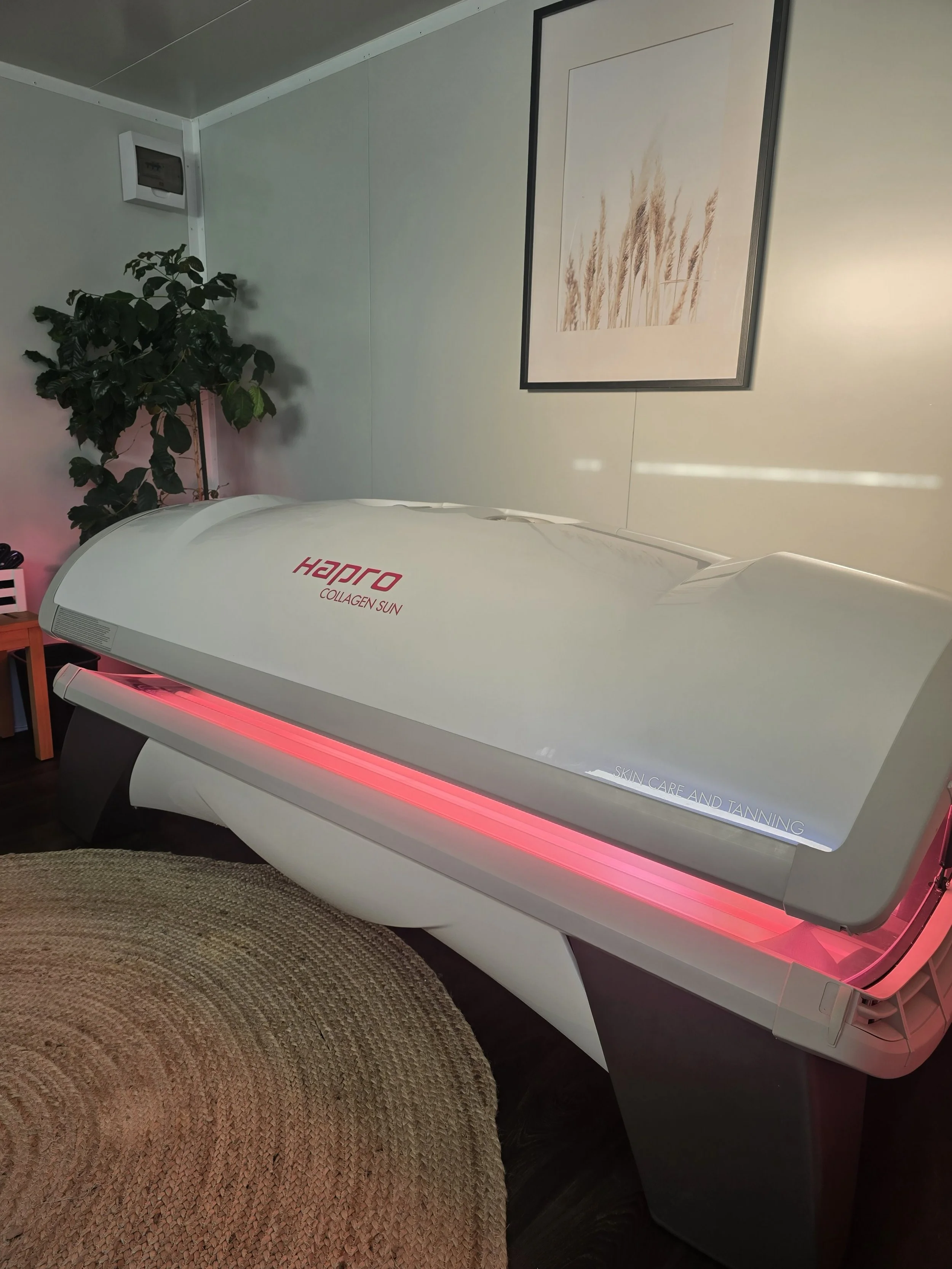 Sunbed - New Plymouth