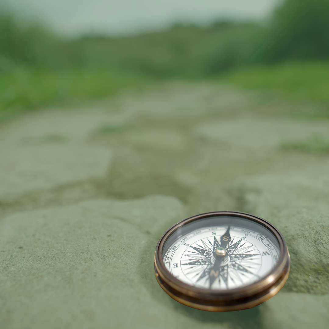Compass sat on the ground with a blurred green backdrop