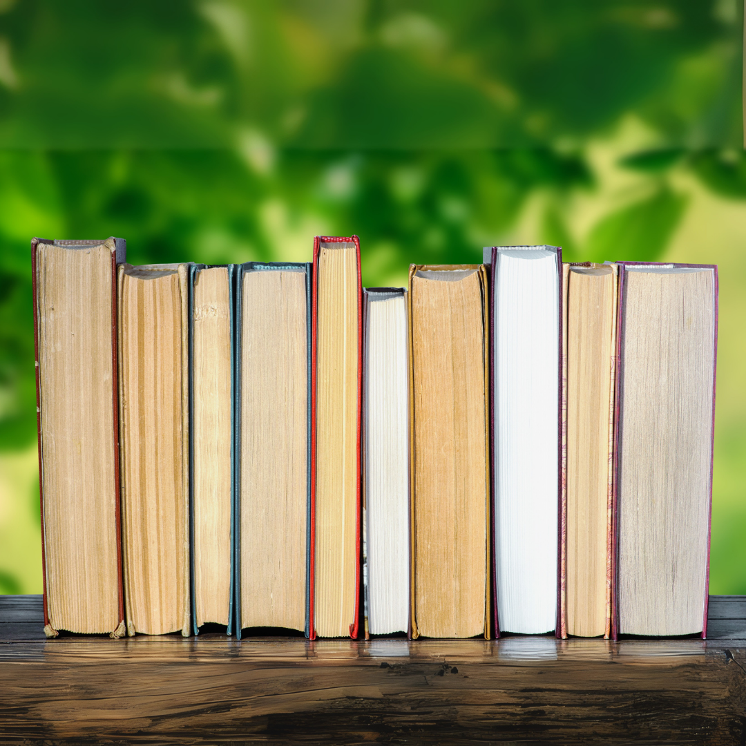 🕊️ Why I Started Bellbird Song. Real People and Stories That Matter.