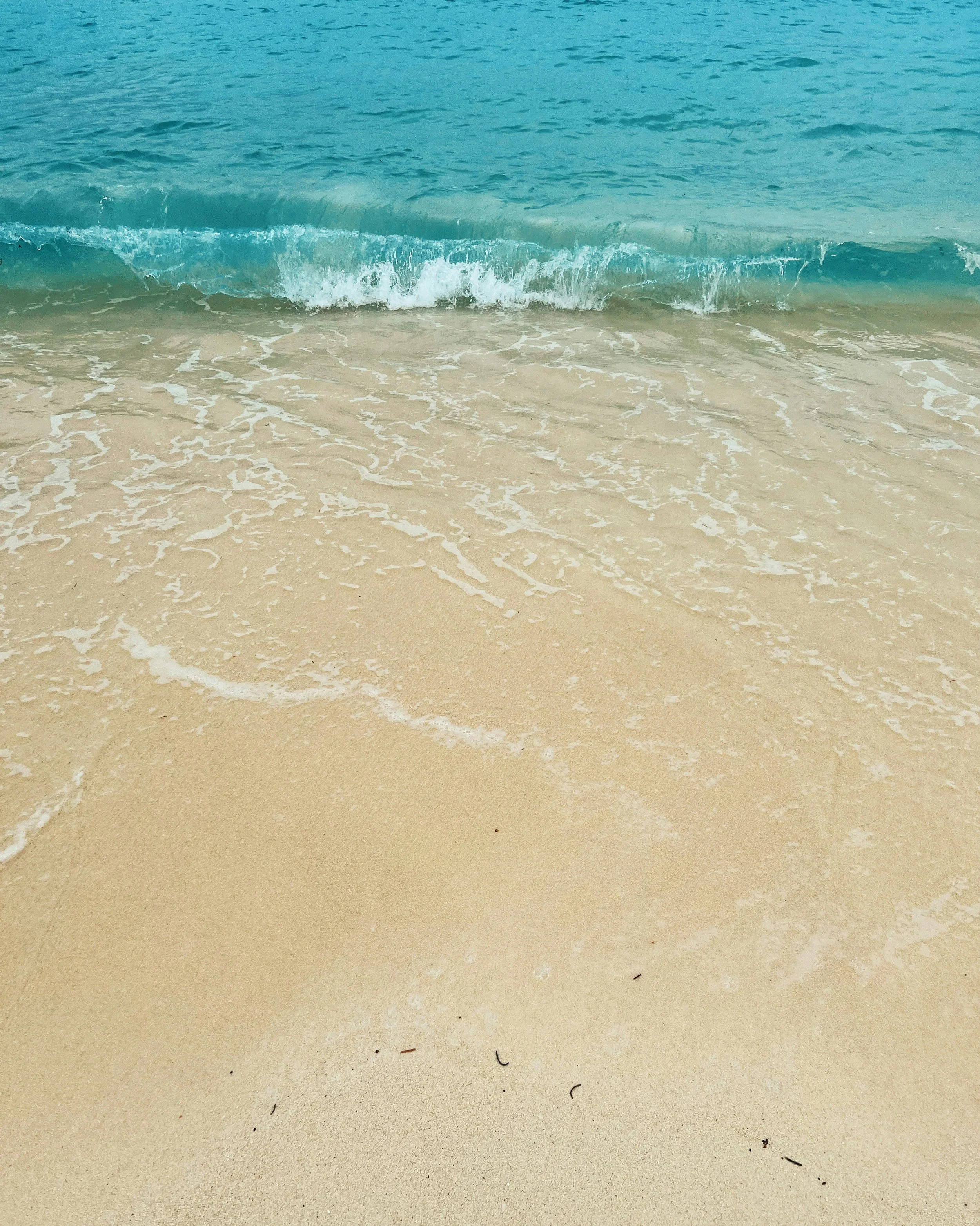 Kids Eat Free Tuesdays!