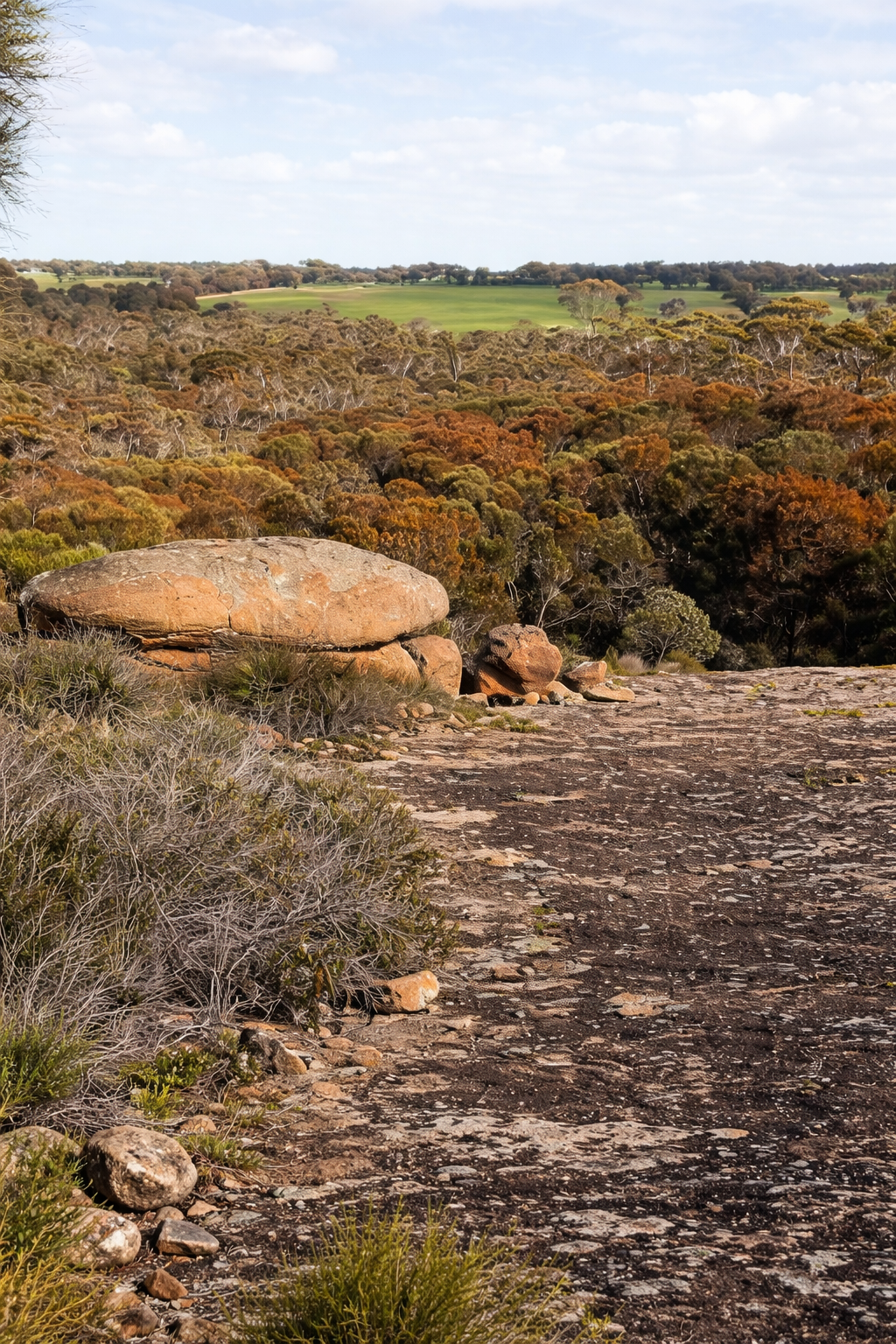 Narrogin Yilliminning Rock CouncilFirst ERP