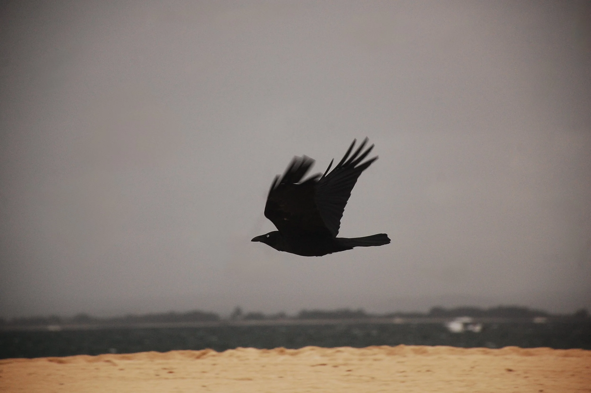 IMG_4783 2.jpg