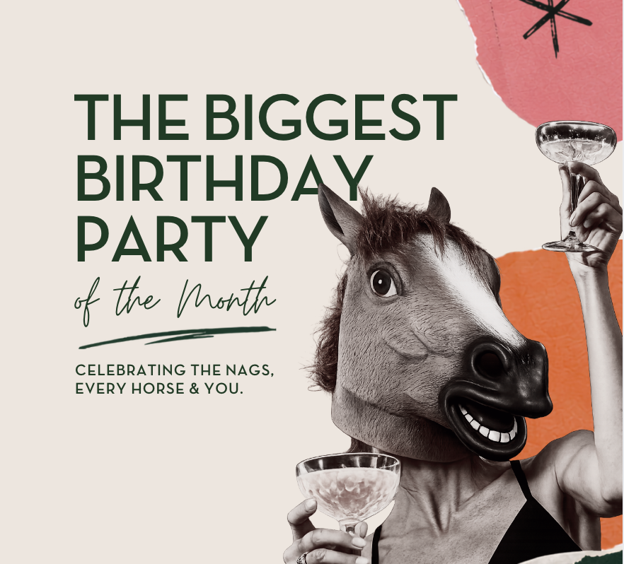 Nags Biggest Birthday Party