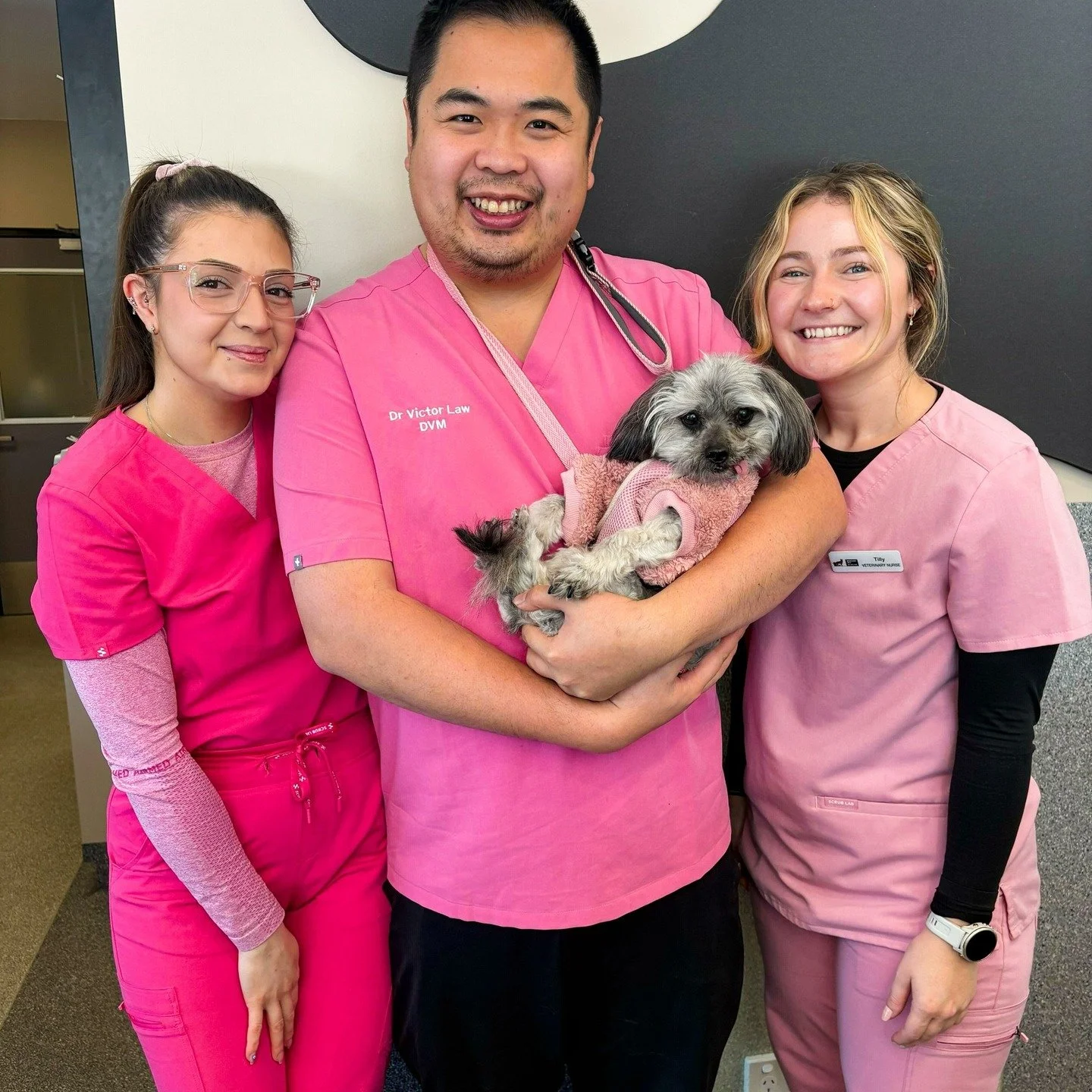 Another Wednesday, another reason to wear pink! 💖
Dr Victor, Nurses Tilly and Sarah are all smiles&mdash;but let&rsquo;s be real, Alice in her pink cardigan is totally stealing the spotlight! 🌟🐾

We&rsquo;d love to see more of our fabulous clients