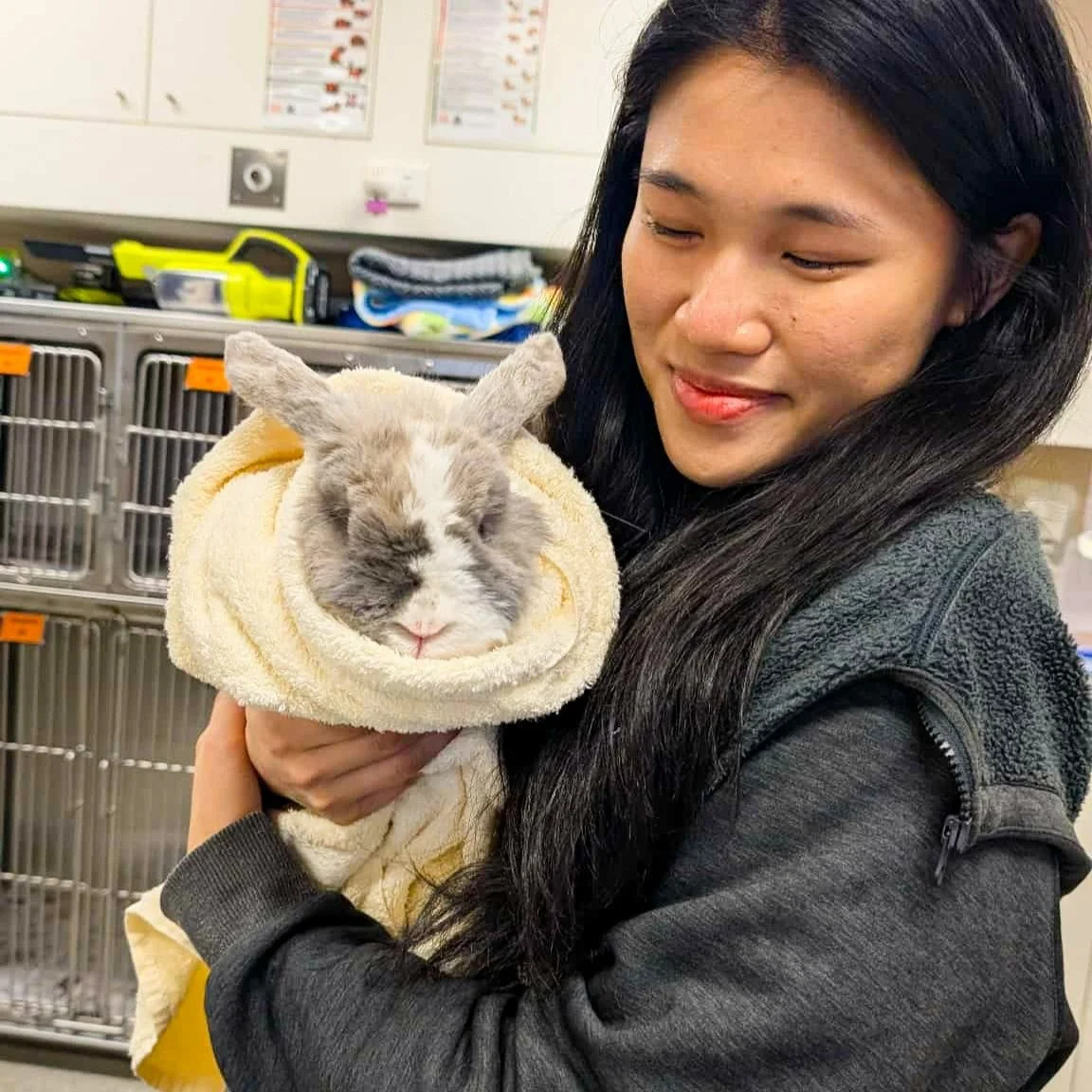 🐰💚 Did you know we care for more than just cats and dogs? Our team loves seeing your bunny friends too!

We offer a full range of rabbit services, including:
✨ Vaccinations
✨ De-sexing
✨ Teeth trimming
✨ And even joint care as they age!

That&rsquo