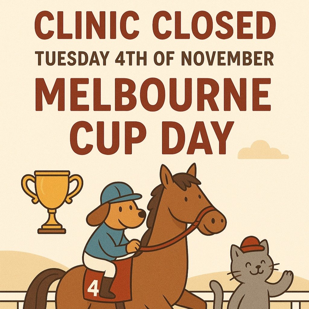 🐎🐾 Melbourne Cup Day Public Holiday Closure 🐾🐎

Our clinic will be closed on Tuesday, 4th November for the Melbourne Cup Day Public Holiday.
We&rsquo;ll be back open as usual on Wednesday, 5th November.

If you have any concerns about your pet&rs