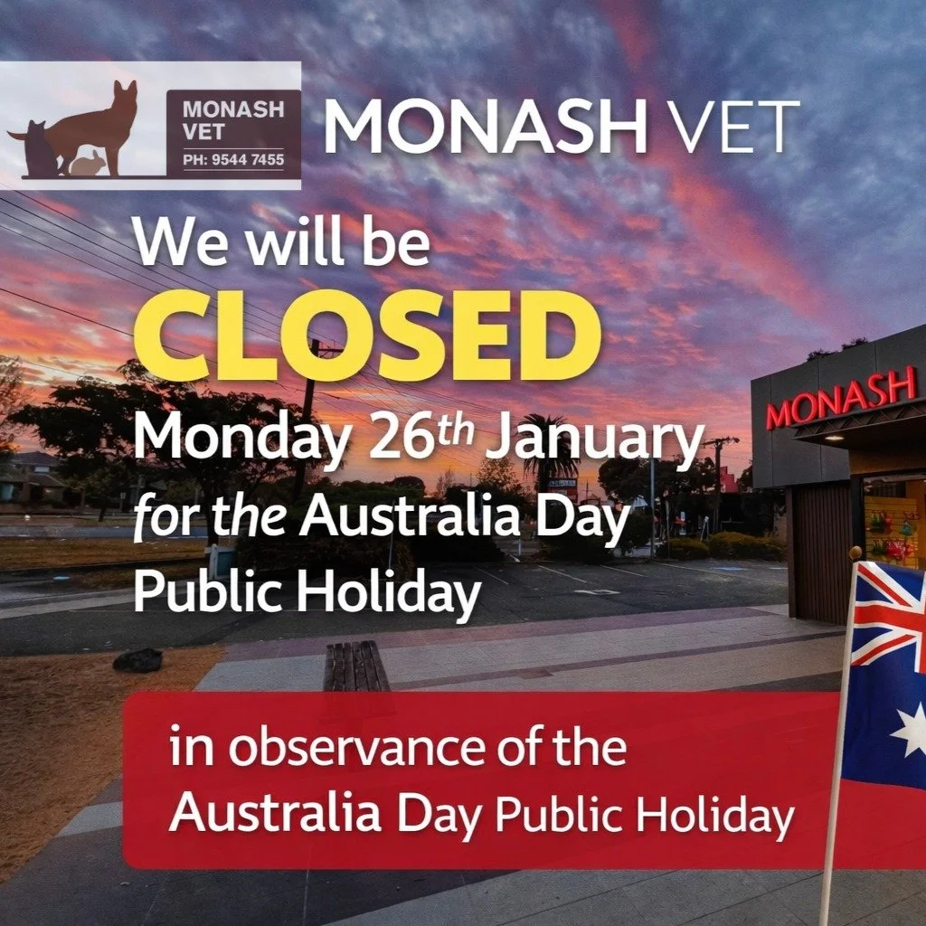 🇦🇺🐾 Australia Day Public Holiday Closure 🐾🇦🇺
Our clinic will be closed on Monday, 26th January for the Australia Day Public Holiday.
We&rsquo;ll be back open as usual on Tuesday, 27th January.
If you have any concerns about your pet&rsquo;s hea