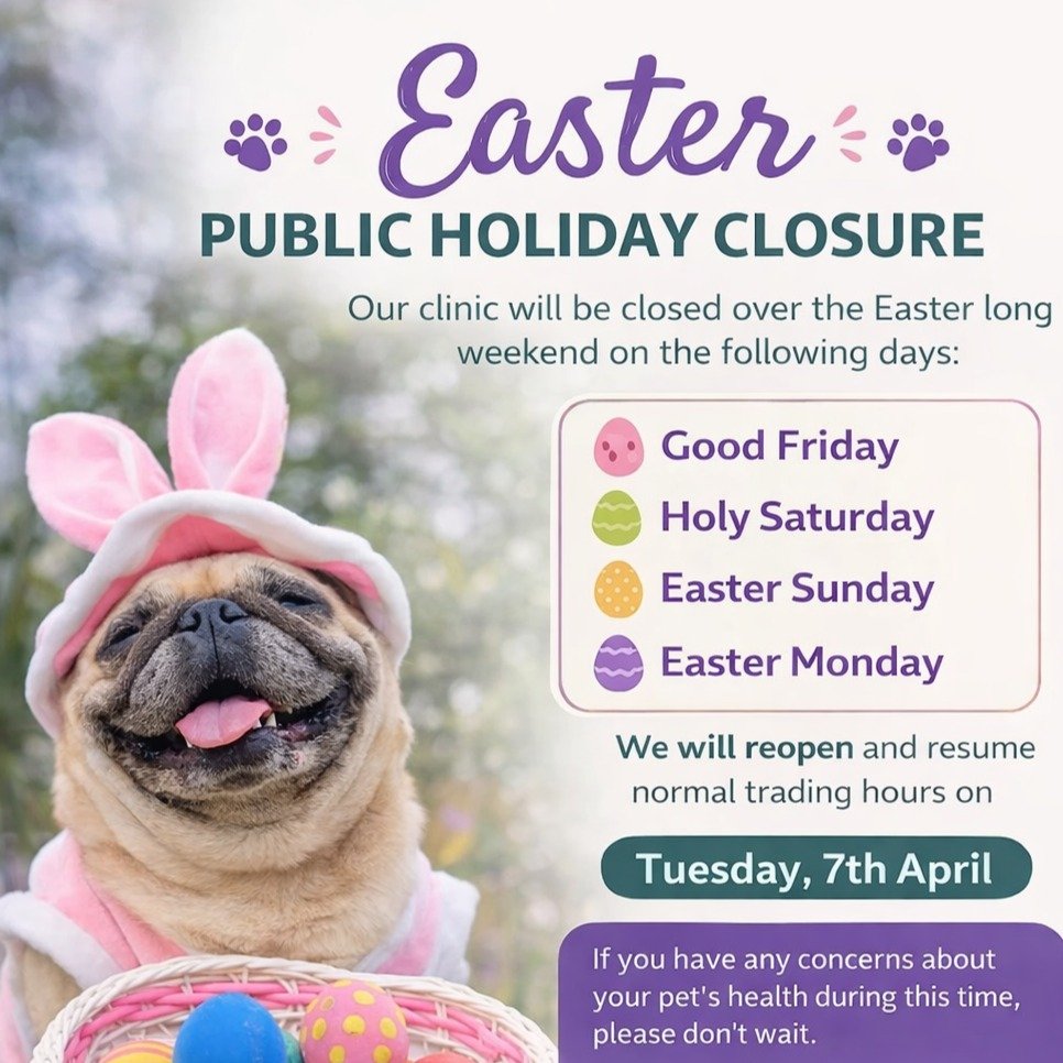 🐣🌸 Easter Public Holiday Closure 🌸🐣
Our clinic will be closed over the Easter long weekend on the following days:
&bull; Good Friday
&bull; Easter Saturday
&bull; Easter Sunday
&bull; Easter Monday
We will reopen and resume normal trading hours o