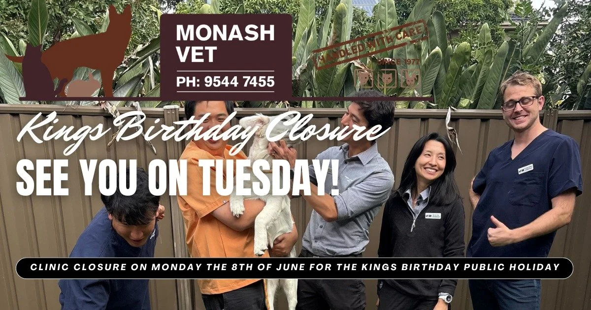 👑KINGS BIRTHDAY CLINIC CLOSURE 👑

After a thorough review by our canine, feline, and pocket-pet committee, we've decided that even vets need a little break.

Please note that Monash Veterinary Clinic will be CLOSED on Monday the 8th of June for the