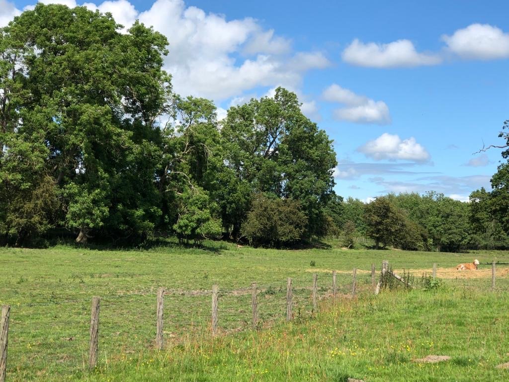 Shropshire Oswestry Fords Farm Glamping Camping Forte Stays Place to stay airbnb self catering accommodation Twyford 