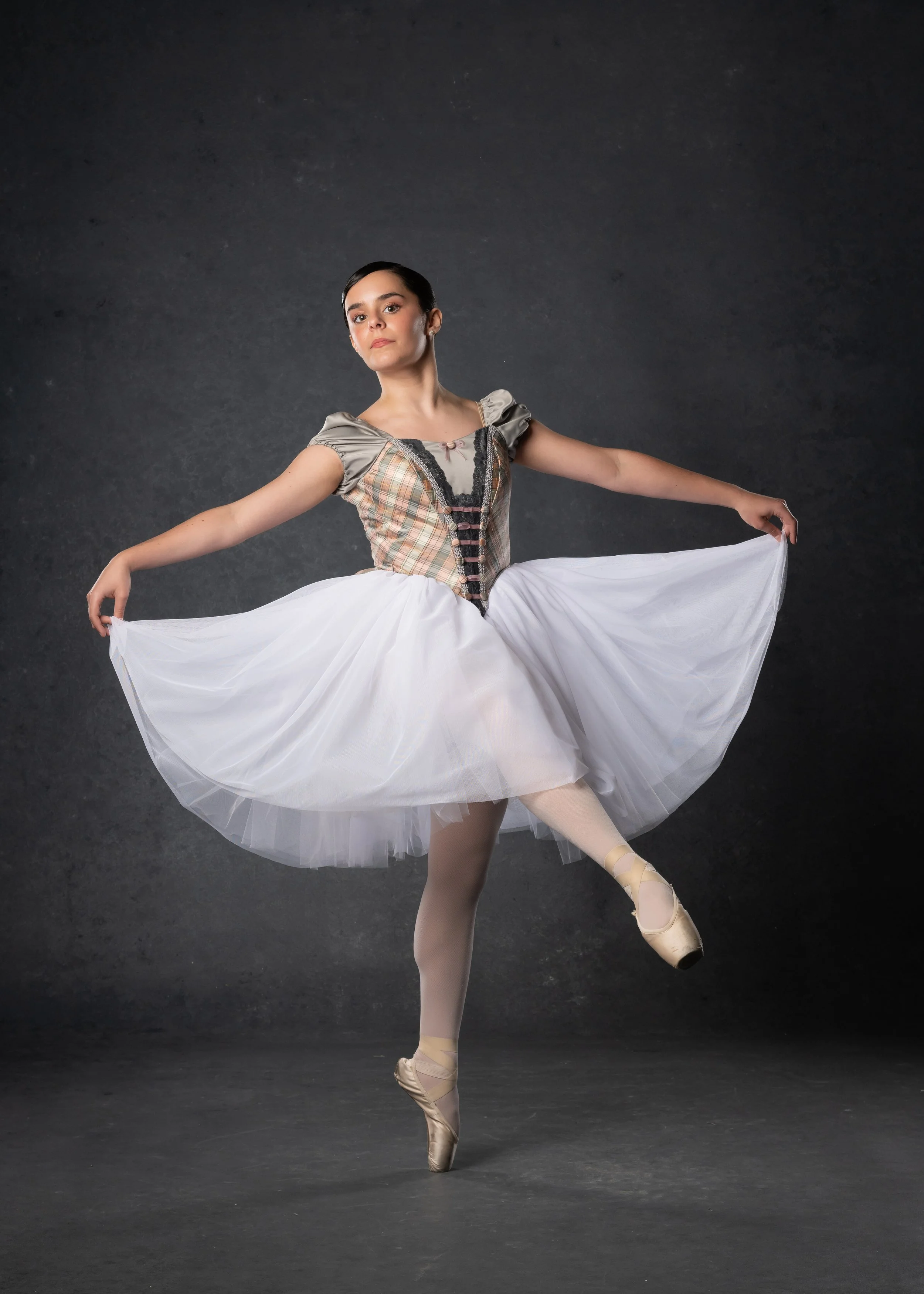 Gray/Pink Romantic tutu