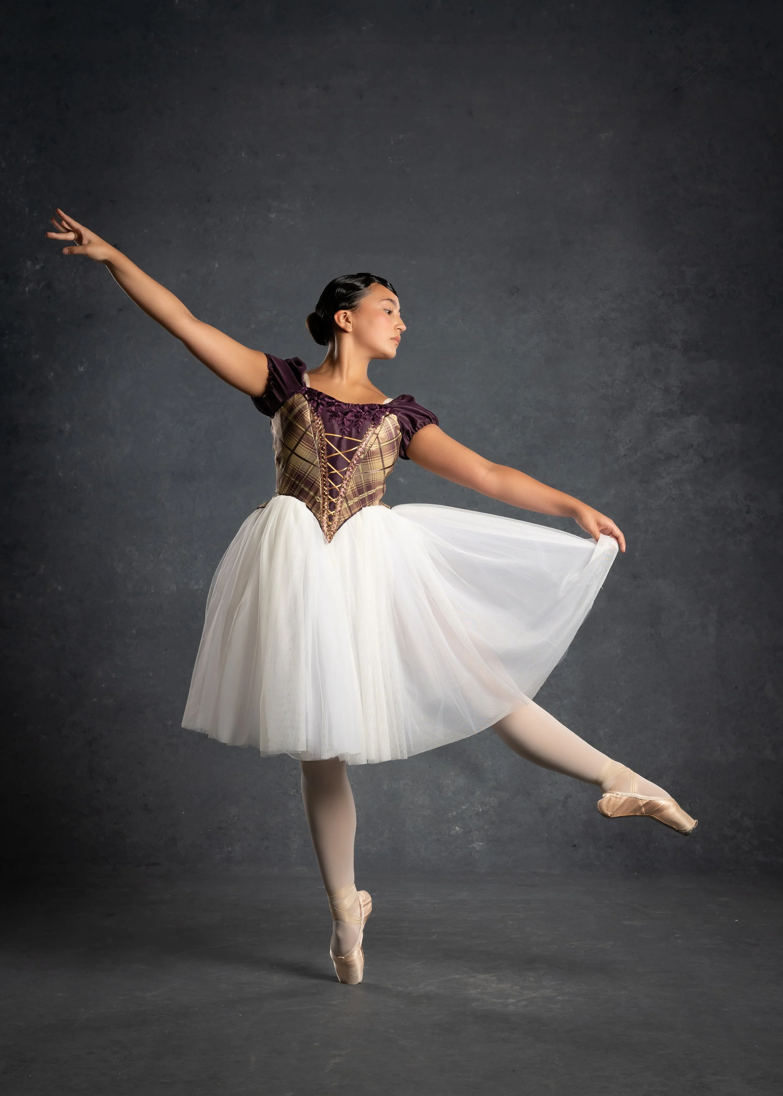 Aubergine/Gold Romantic Tutu