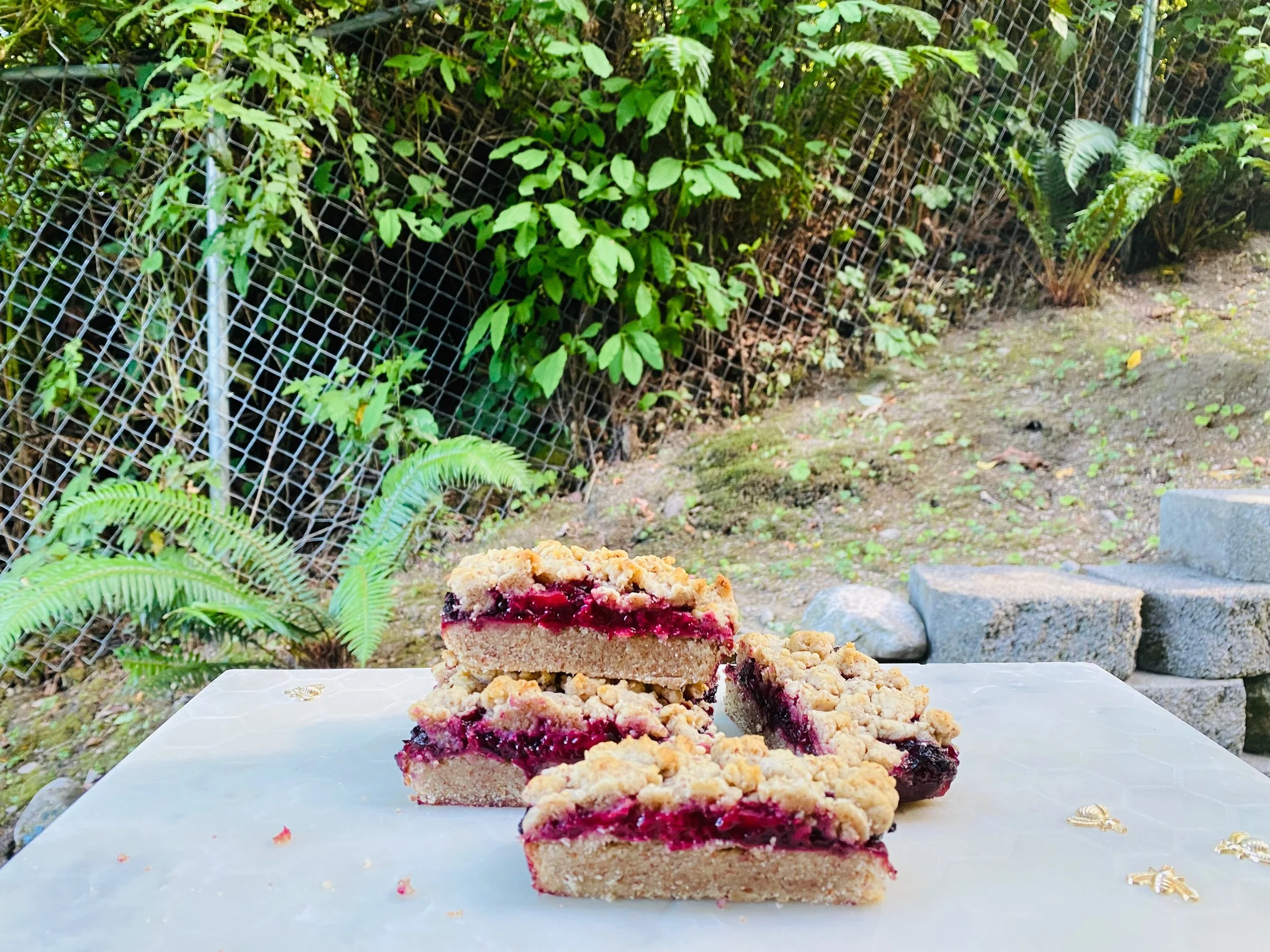 Vegan Berry Crumble Bars