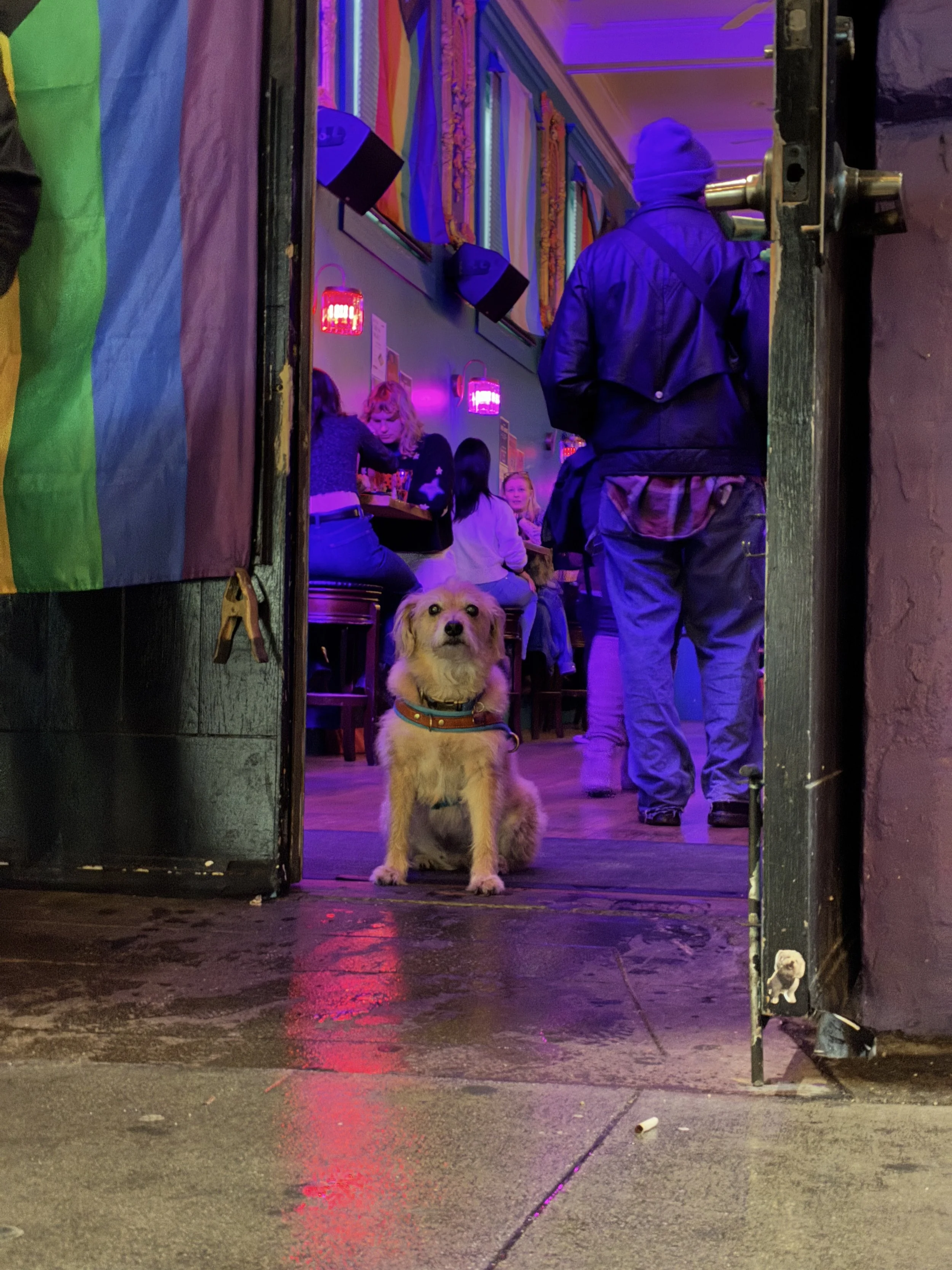  Image by Kate Carlin 