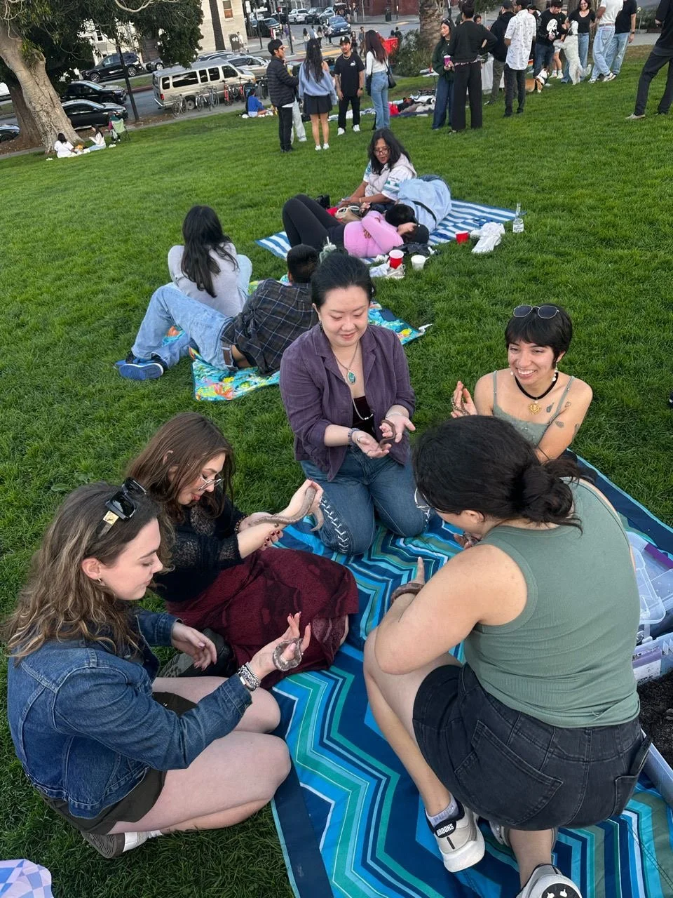  Image by Janét Mena 