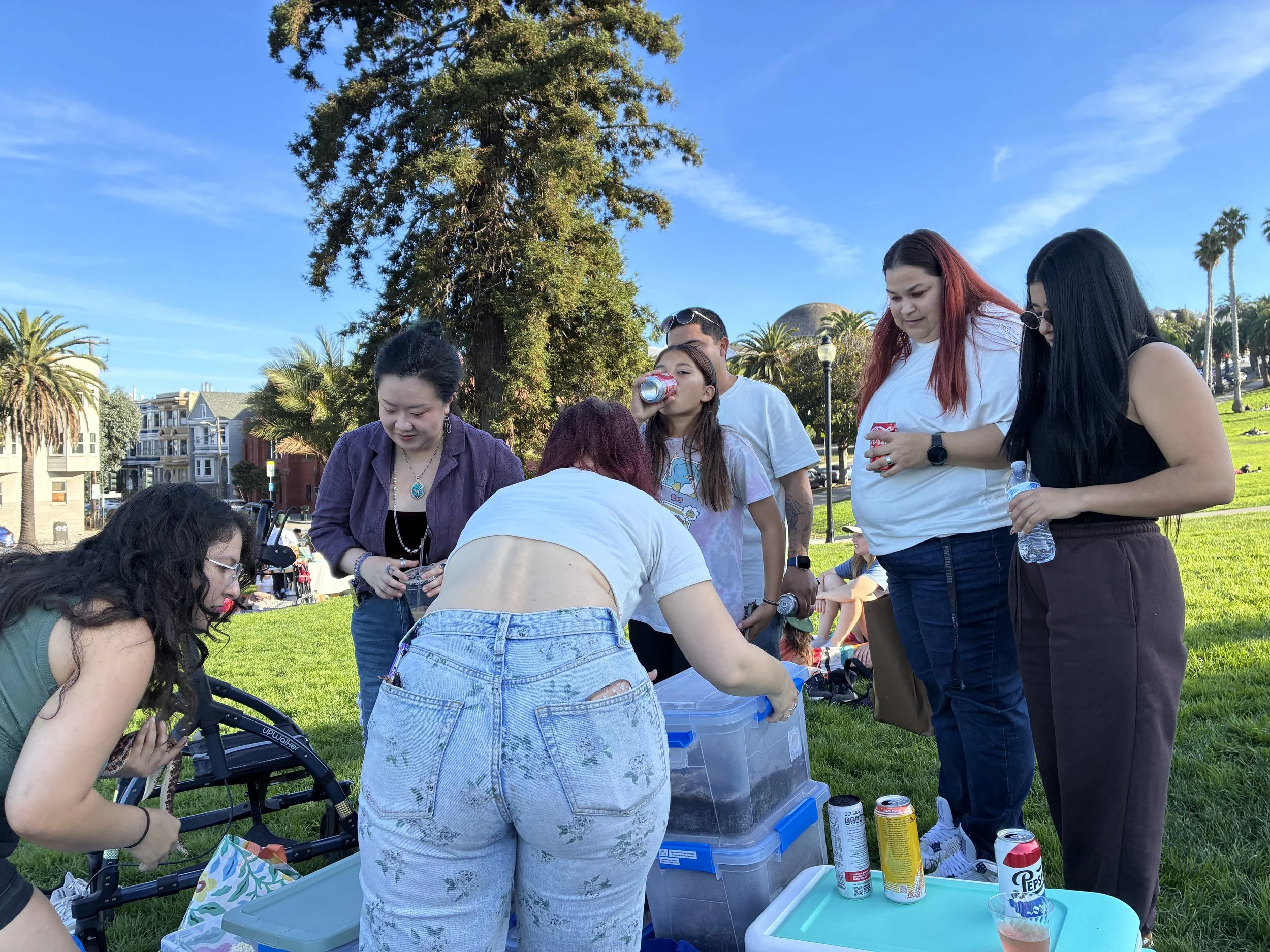  Image by Kate Carlin 