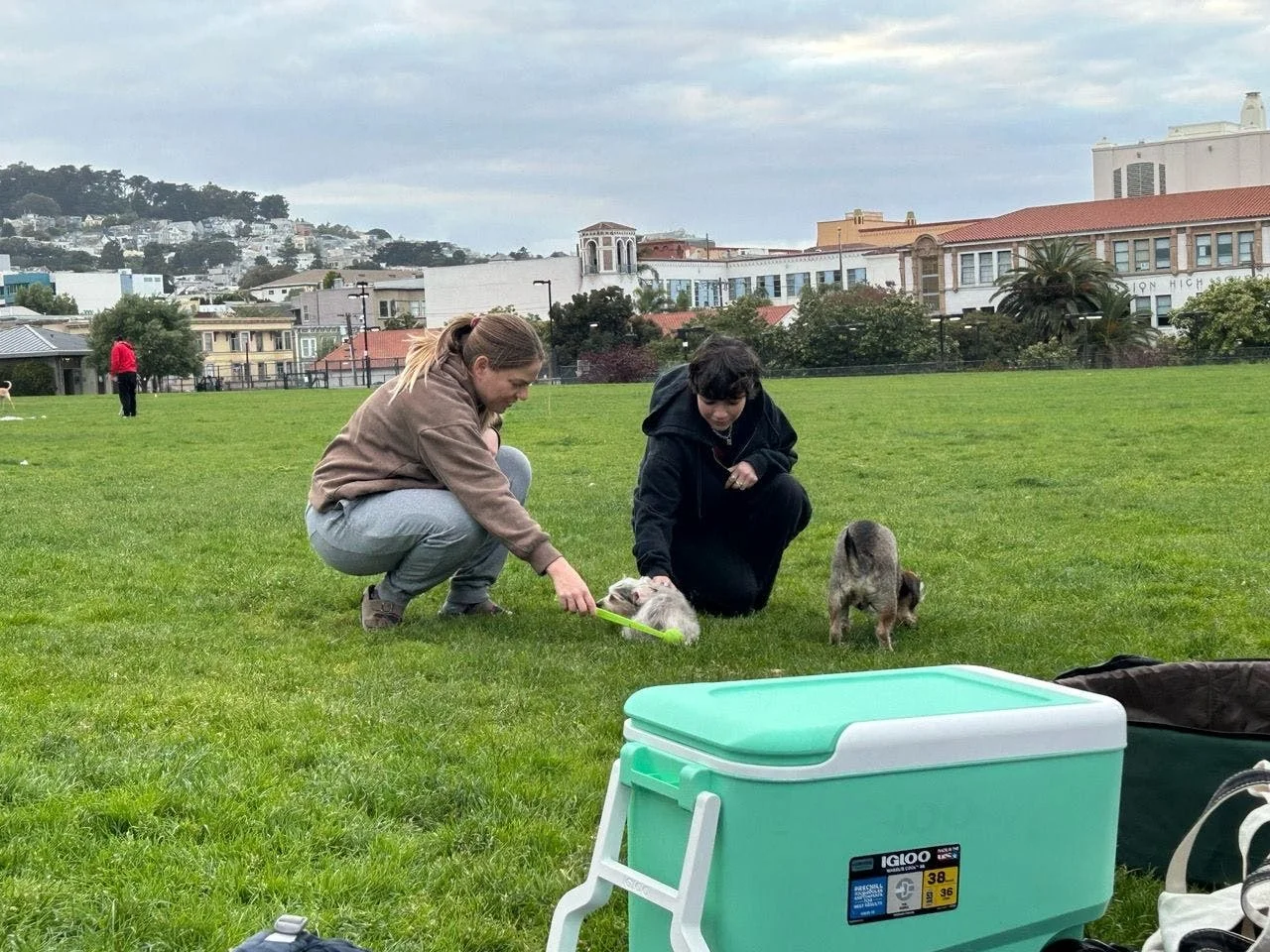 The Animal Whisperer