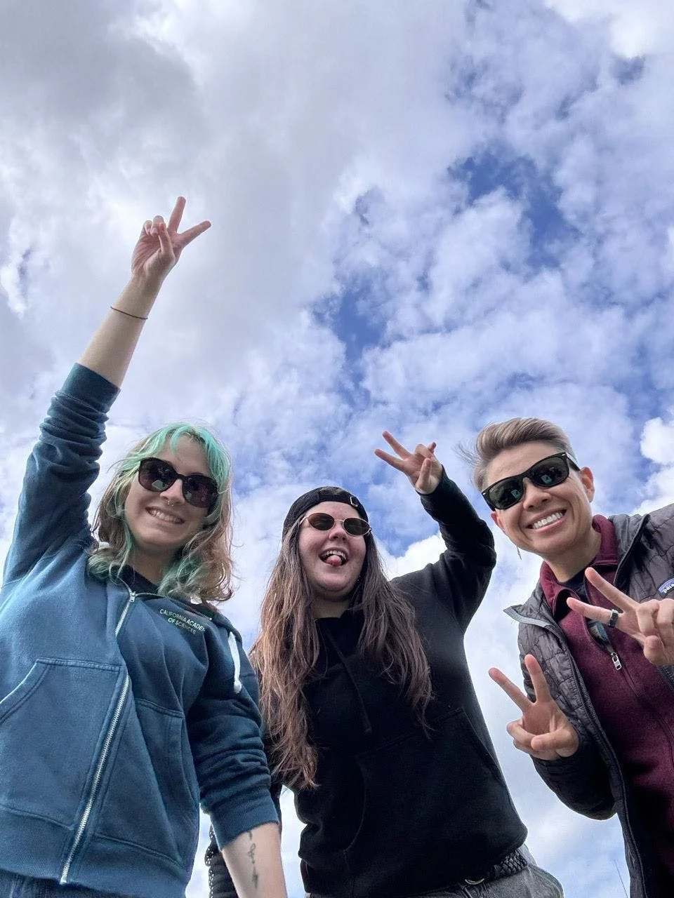 3 Shreddin' Shredders