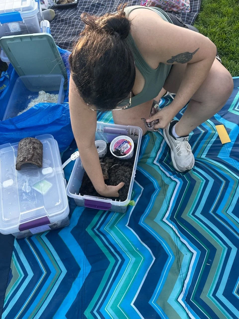  Image by Janét Mena 