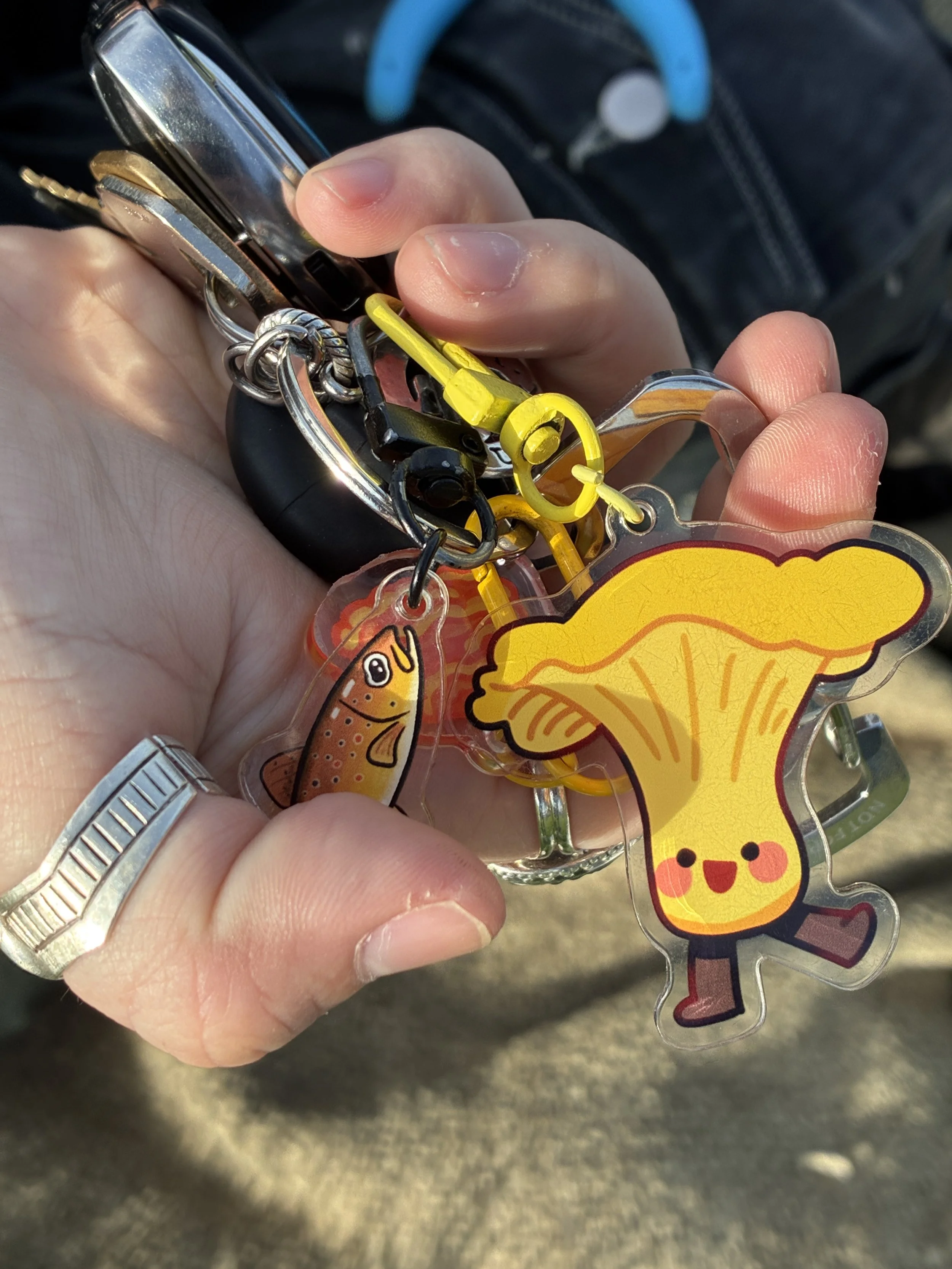  Image by Kate Carlin 