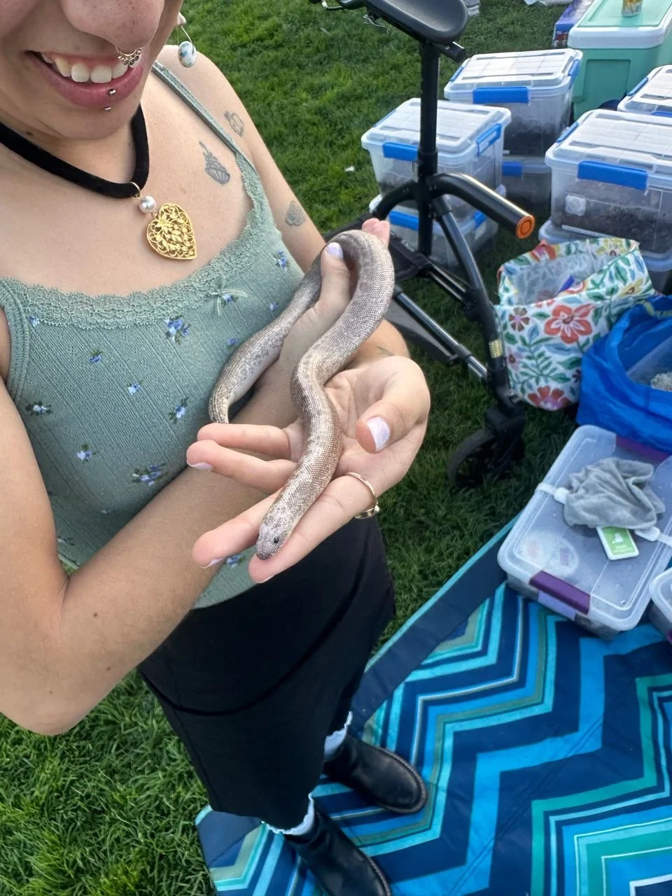  Image by Janét Mena 