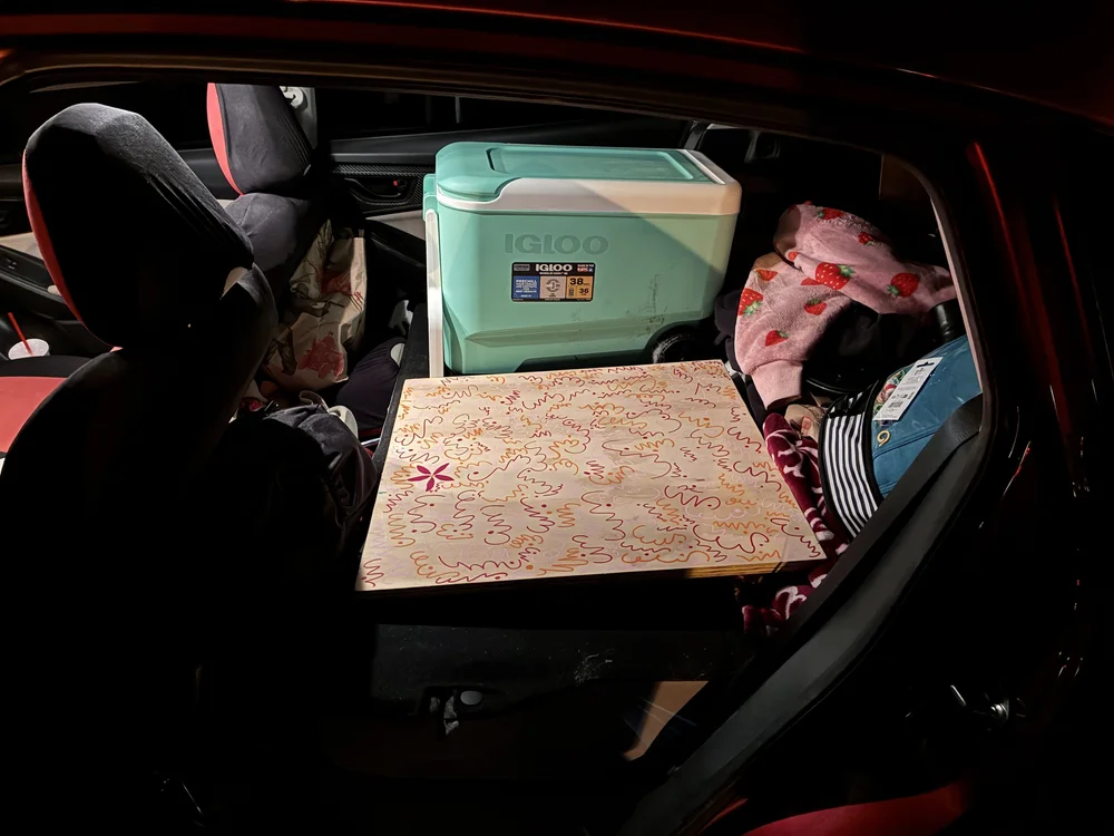  Image by Kate Carlin 