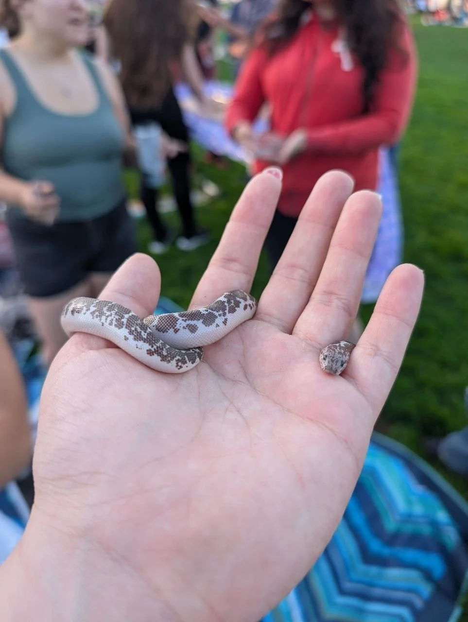  Image by Cameron Farris 