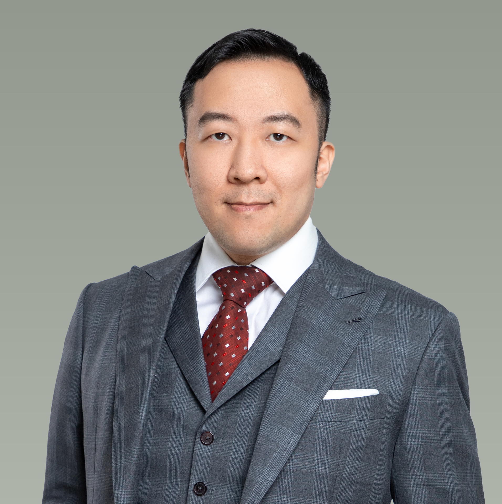 Professional portrait of a man in a gray suit and red tie with a patterned design, standing against a plain, light green background.