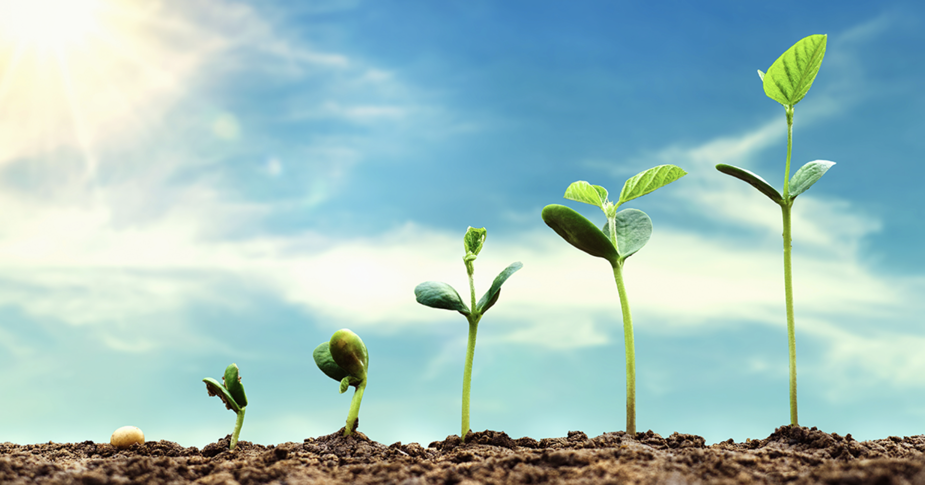 Why healing isn’t linear