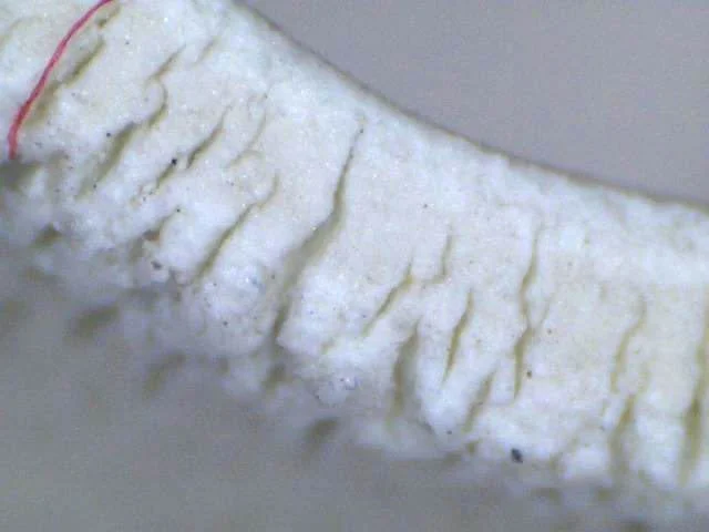 TPU Tear Strength and Flex-Fatigue: How to Prevent Cracks from Becoming Field Failures