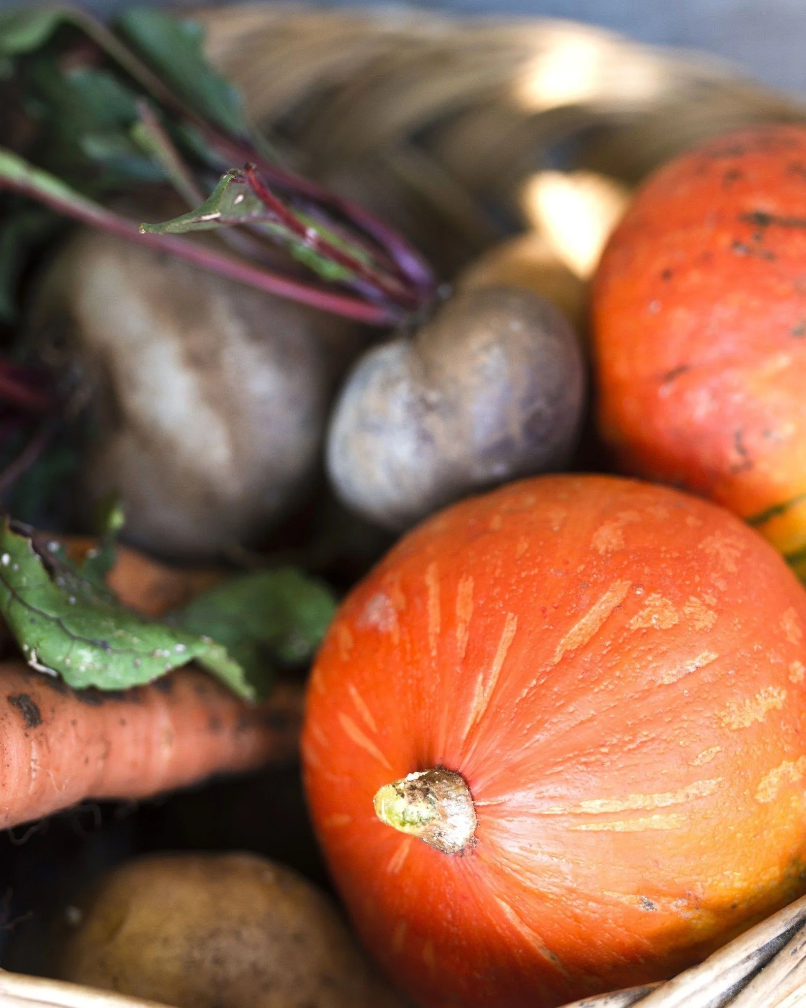 Im Herbst wandeln sich die Zutaten, und unsere K&uuml;che macht mit: K&uuml;rbis, S&uuml;&szlig;kartoffeln, Wurzelgem&uuml;se, Pilze, frische Kr&auml;uter &ndash; alles basisch und vitalisierend.

Diese Gerichte st&auml;rken nicht nur den K&ouml;rper