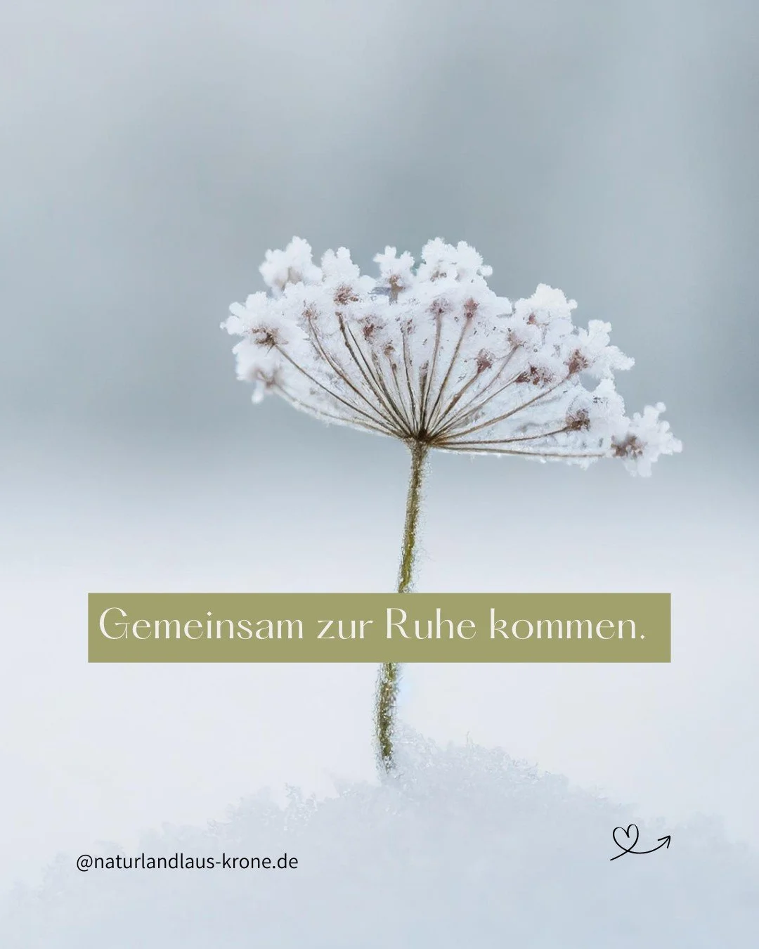 Manchmal braucht es nur ein Wochenende, um wieder bei sich anzukommen.
Vom 27. Februar bis 1. M&auml;rz laden wir euch zu einem Yoga Retreat ein, das K&ouml;rper und Seele sanft erdet &ndash; perfekt f&uuml;r Freundinnen, Paare oder Mutter‑Tochter‑Ze