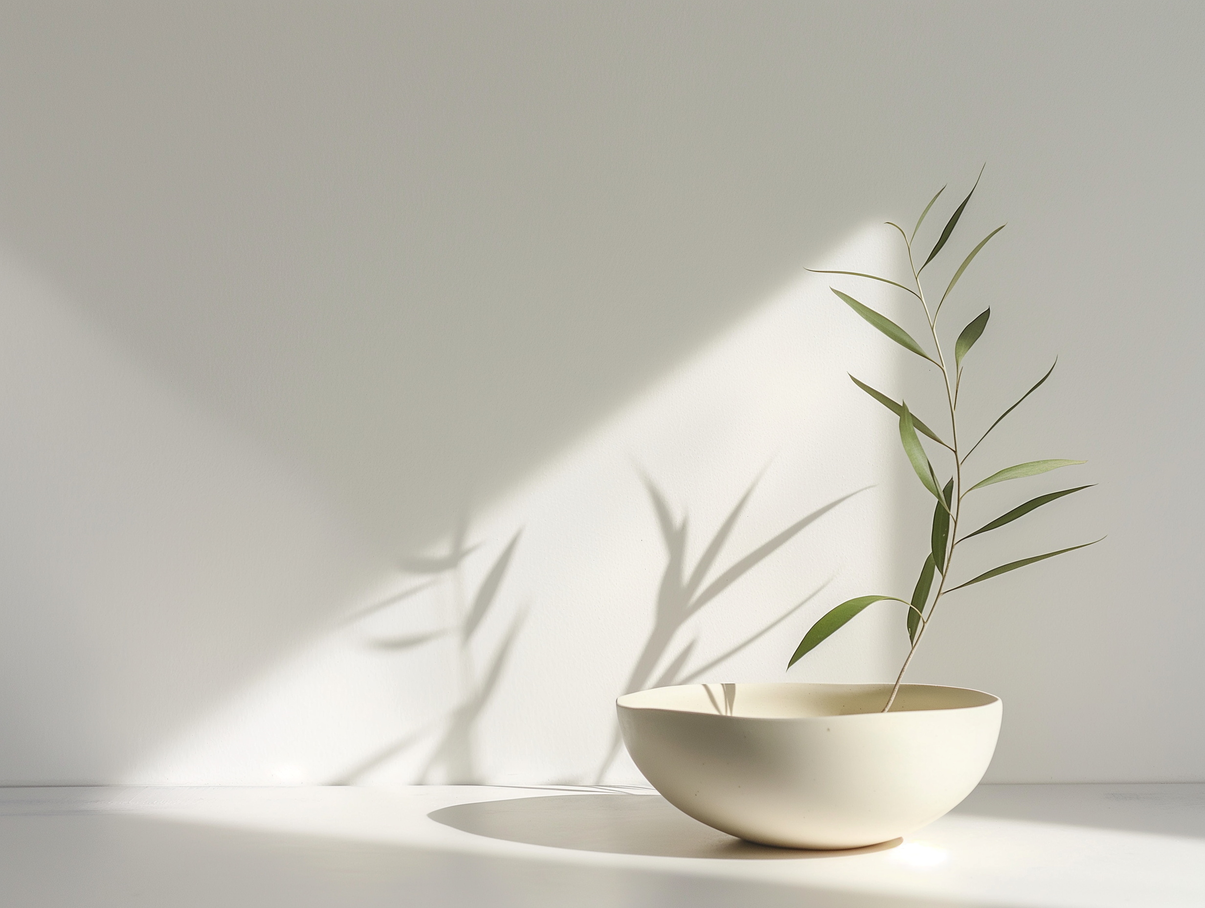 Aromatherapy Diffuser