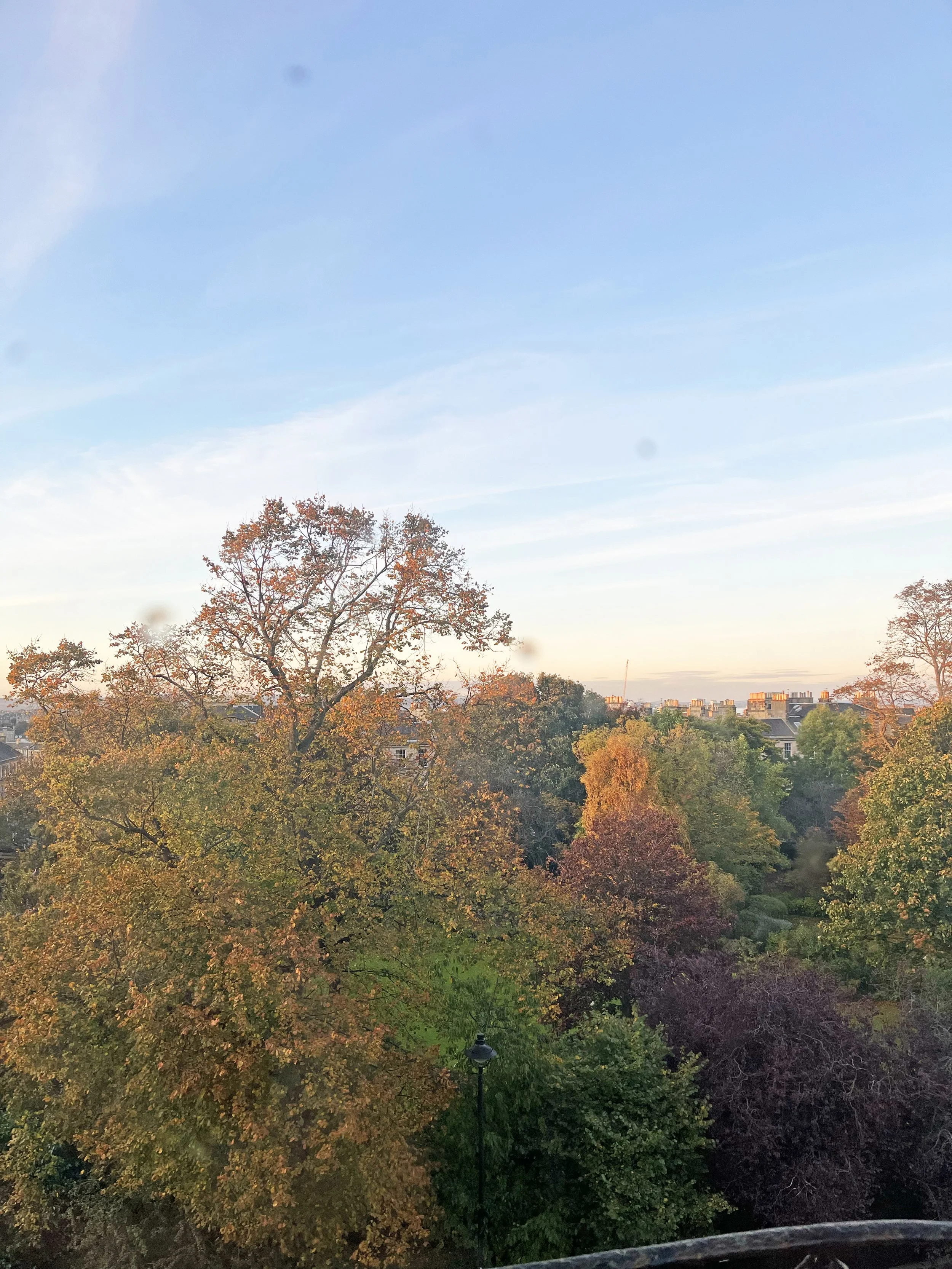 Edinburgh window 1.jpg