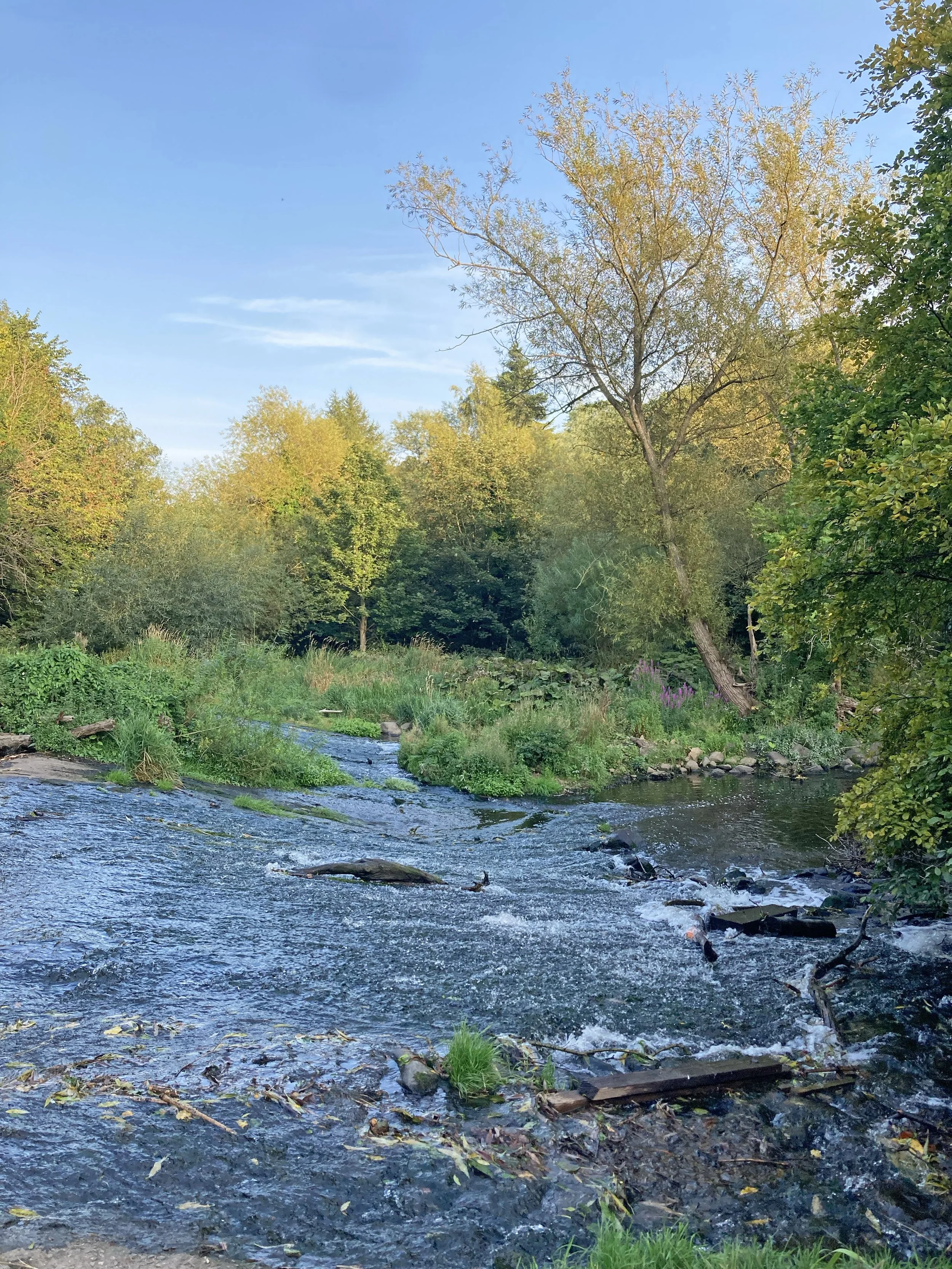 Edinburgh river 1.jpg