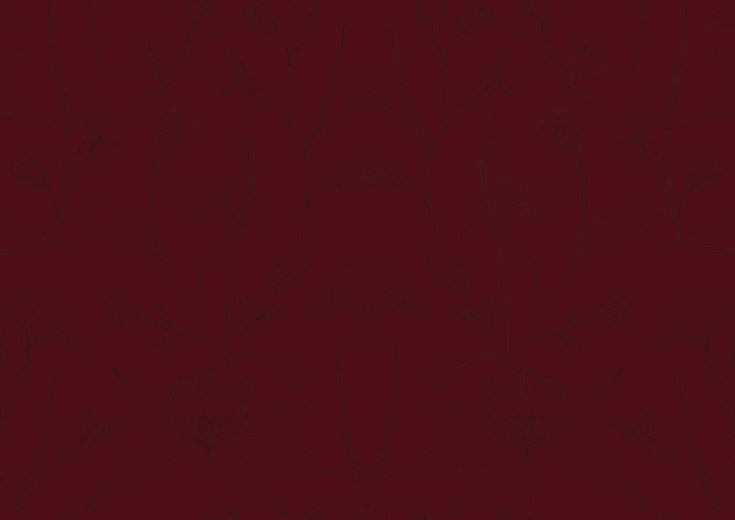 Booklet25.png