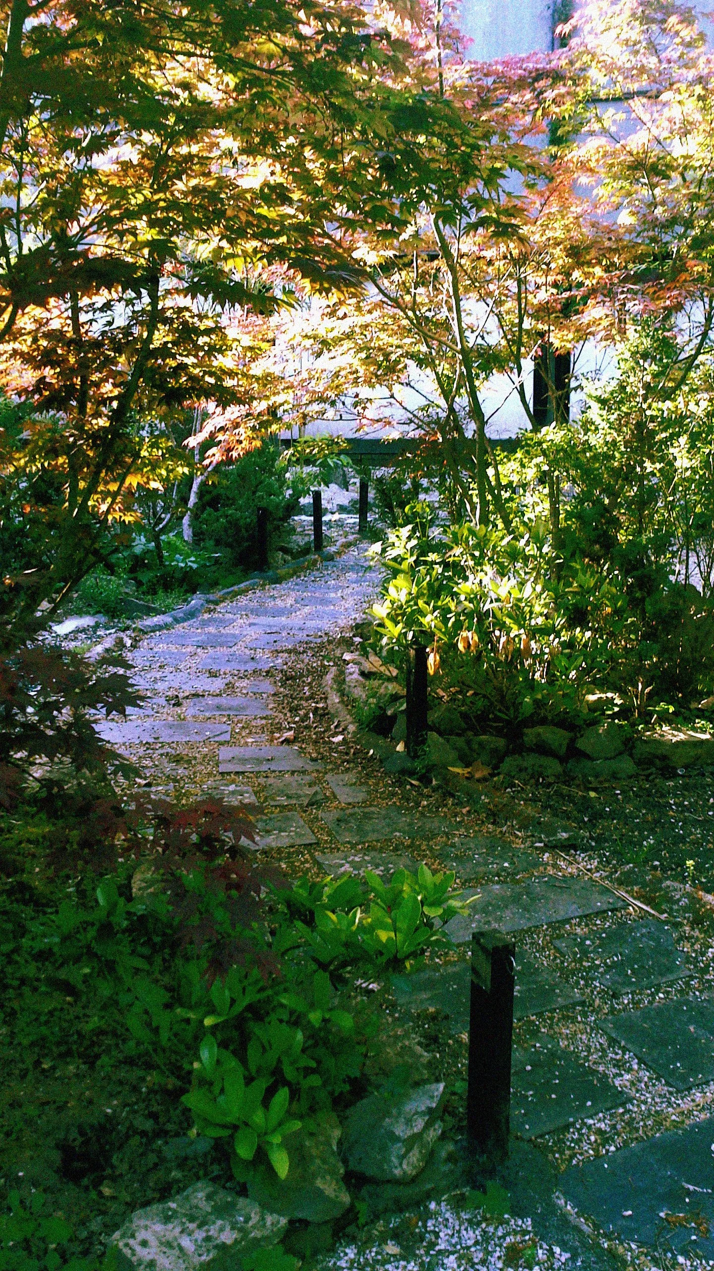 DSC_0125 edit.jpg