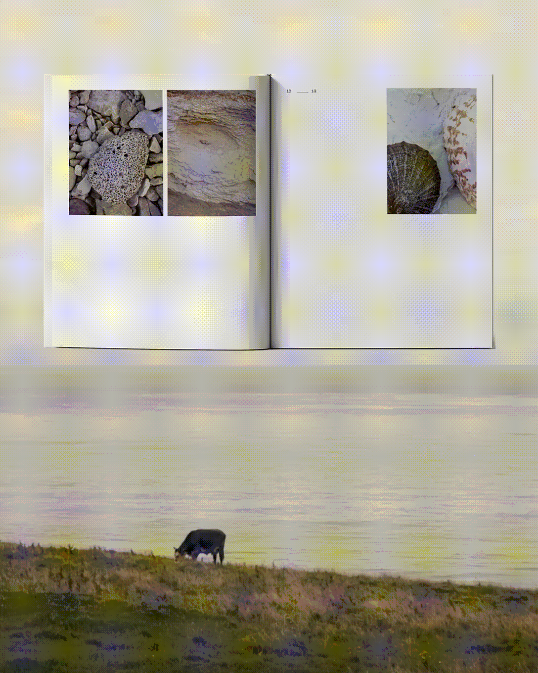 Une page d'un livre ouverte montrant des images de roches ou coquillages, avec un paysage de prairie avec une vache en arrière-plan.