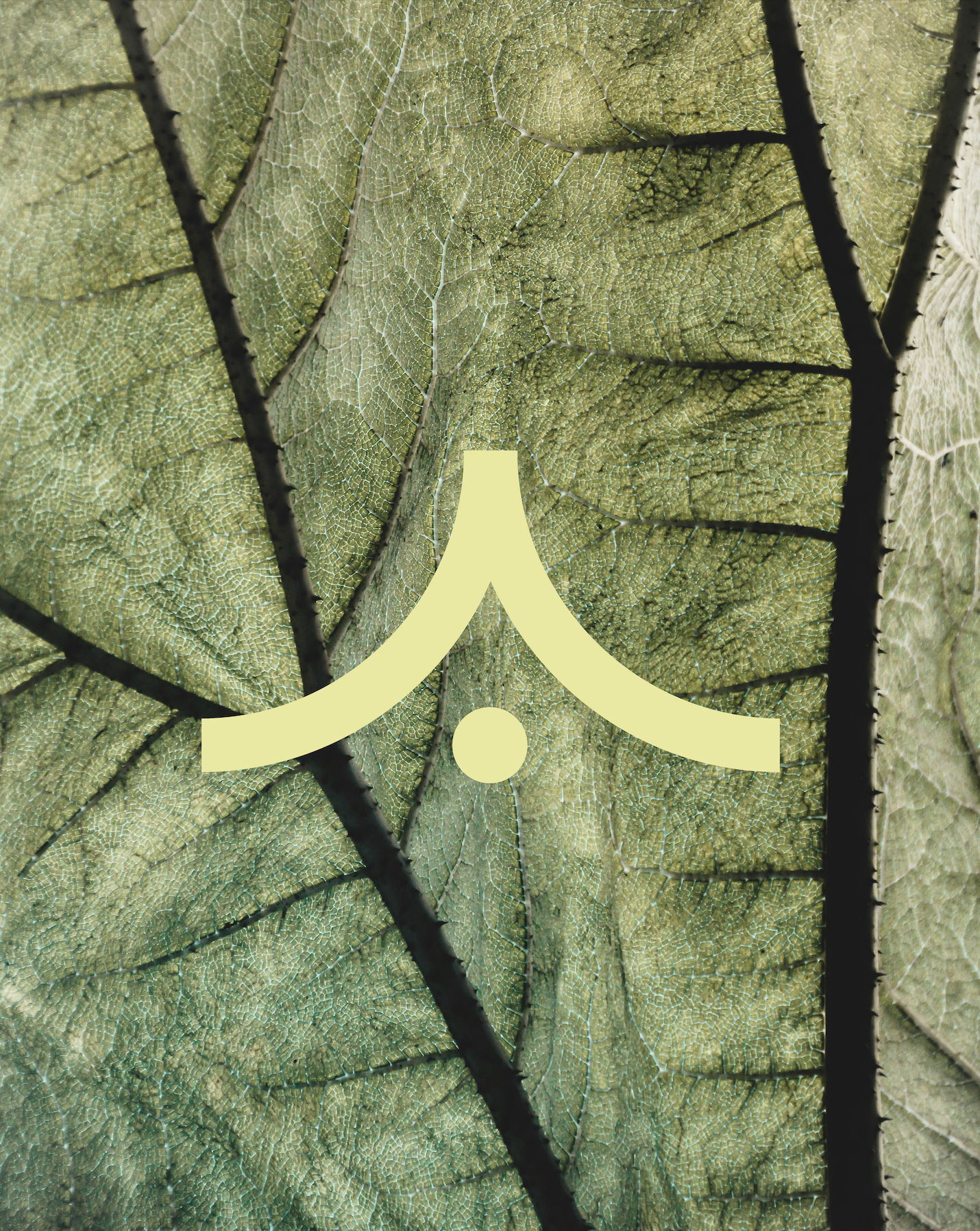 Logo pour artisan paysagiste à Marseille