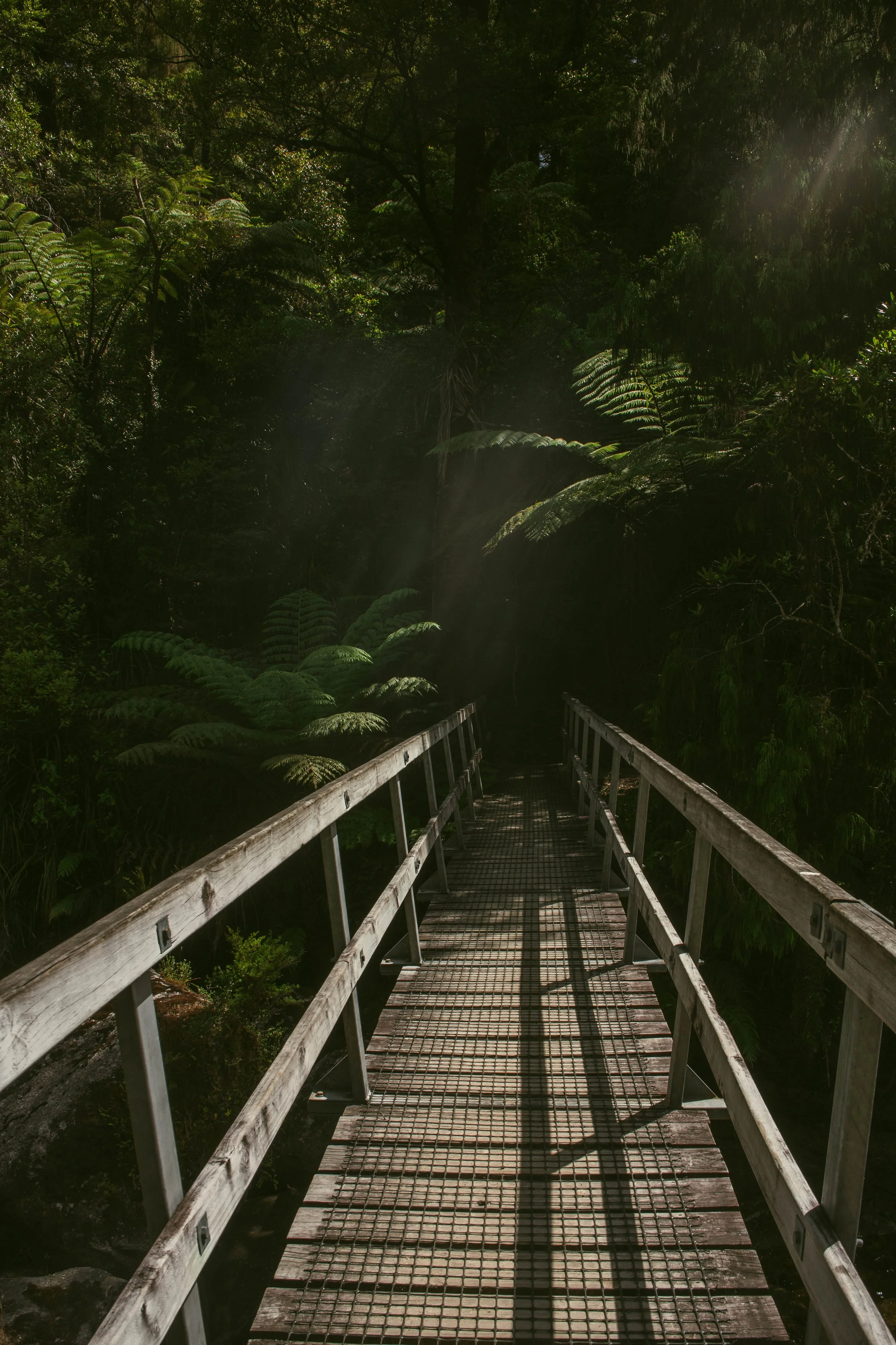 Un pont en bois dans une forêt verte avec des rayons de soleil filtrant à travers les arbres.